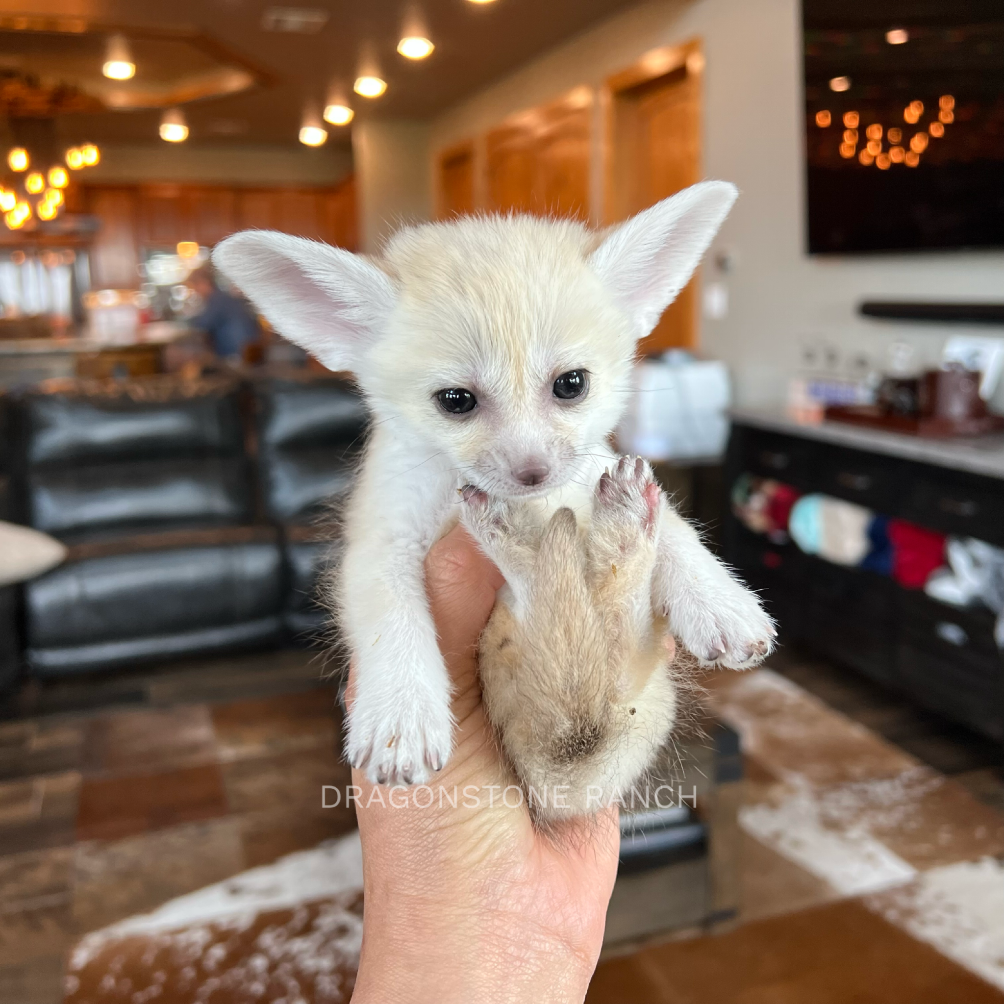 4B134A15-2E3A-498B-B631-DFE0B693434D