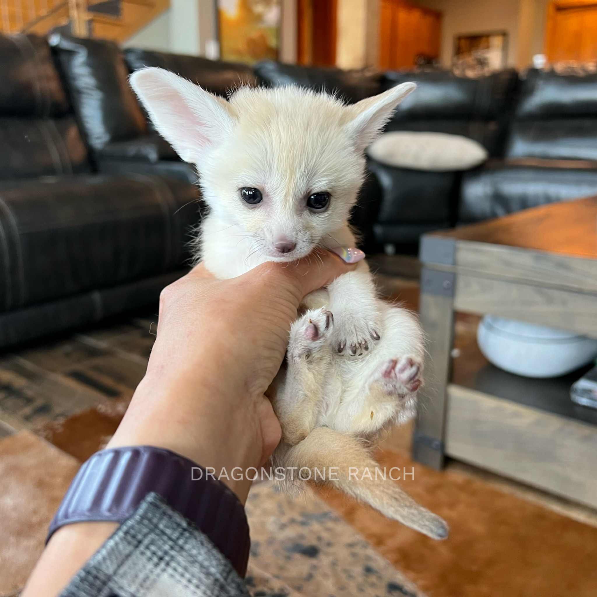 9BC1B8C5-E460-4558-8812-AA40E5A0E0D7