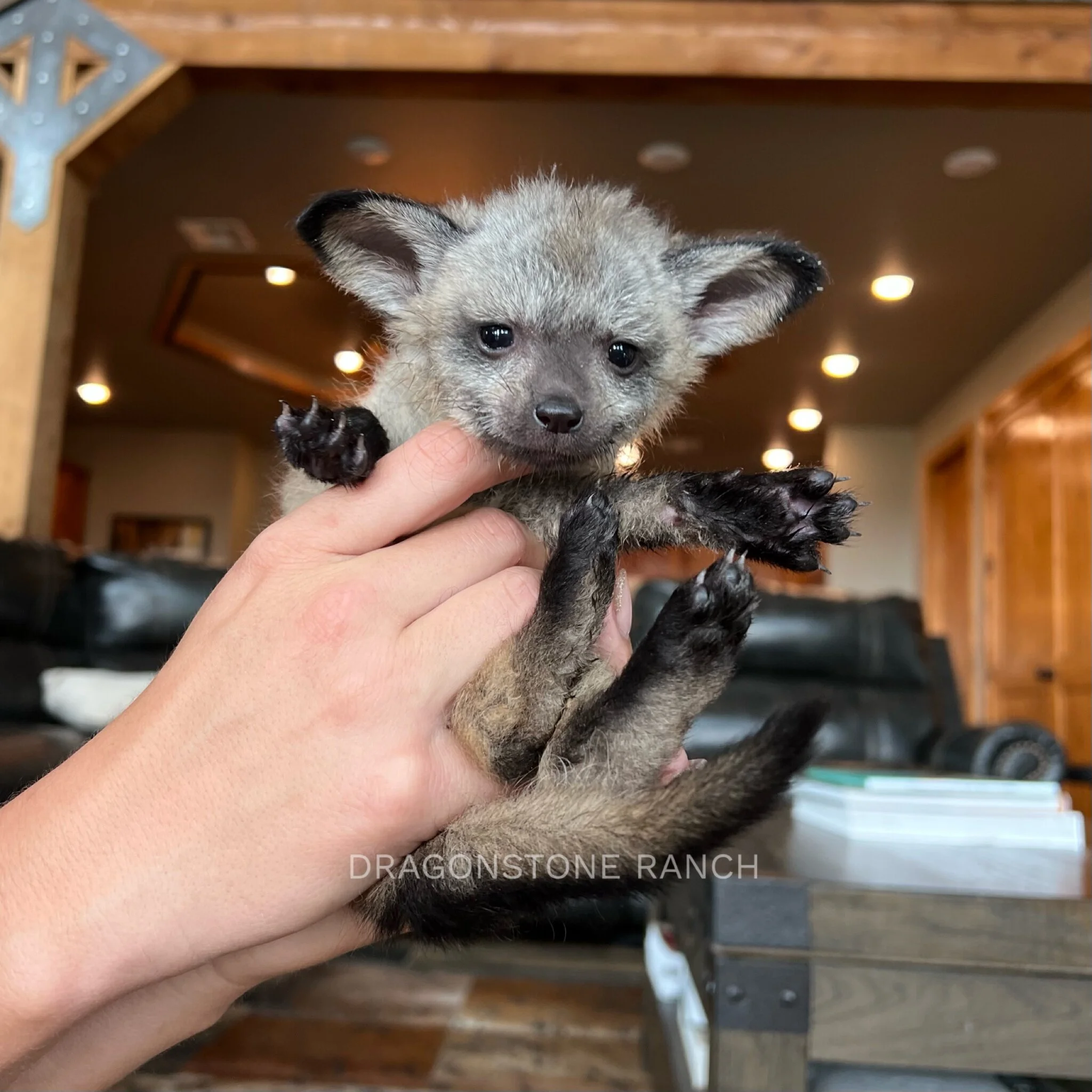 48B372D0-2C99-40B9-873F-35D6A1A15CAE