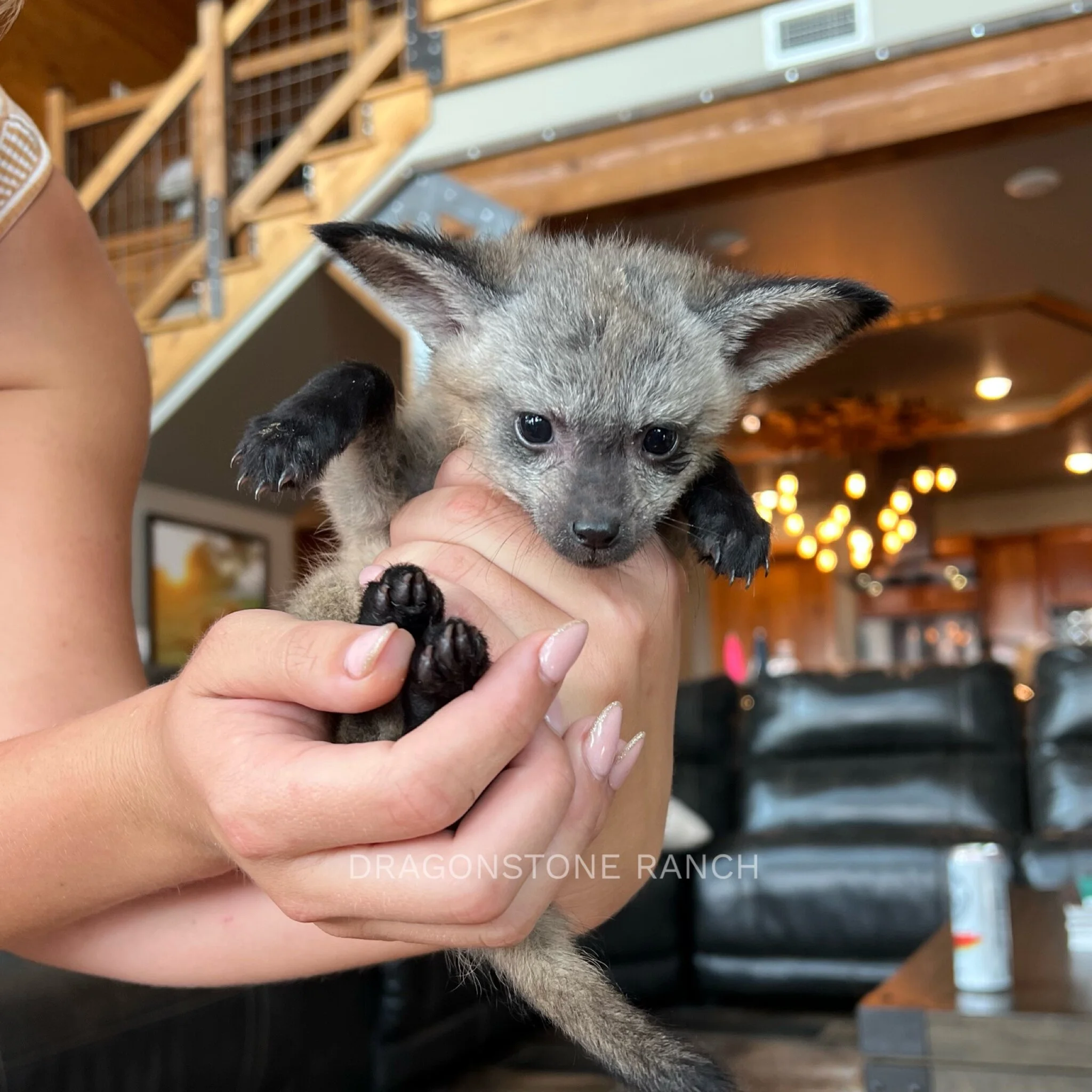 DB49630C-DB3C-4D6B-8CCF-00D1CA4A1221