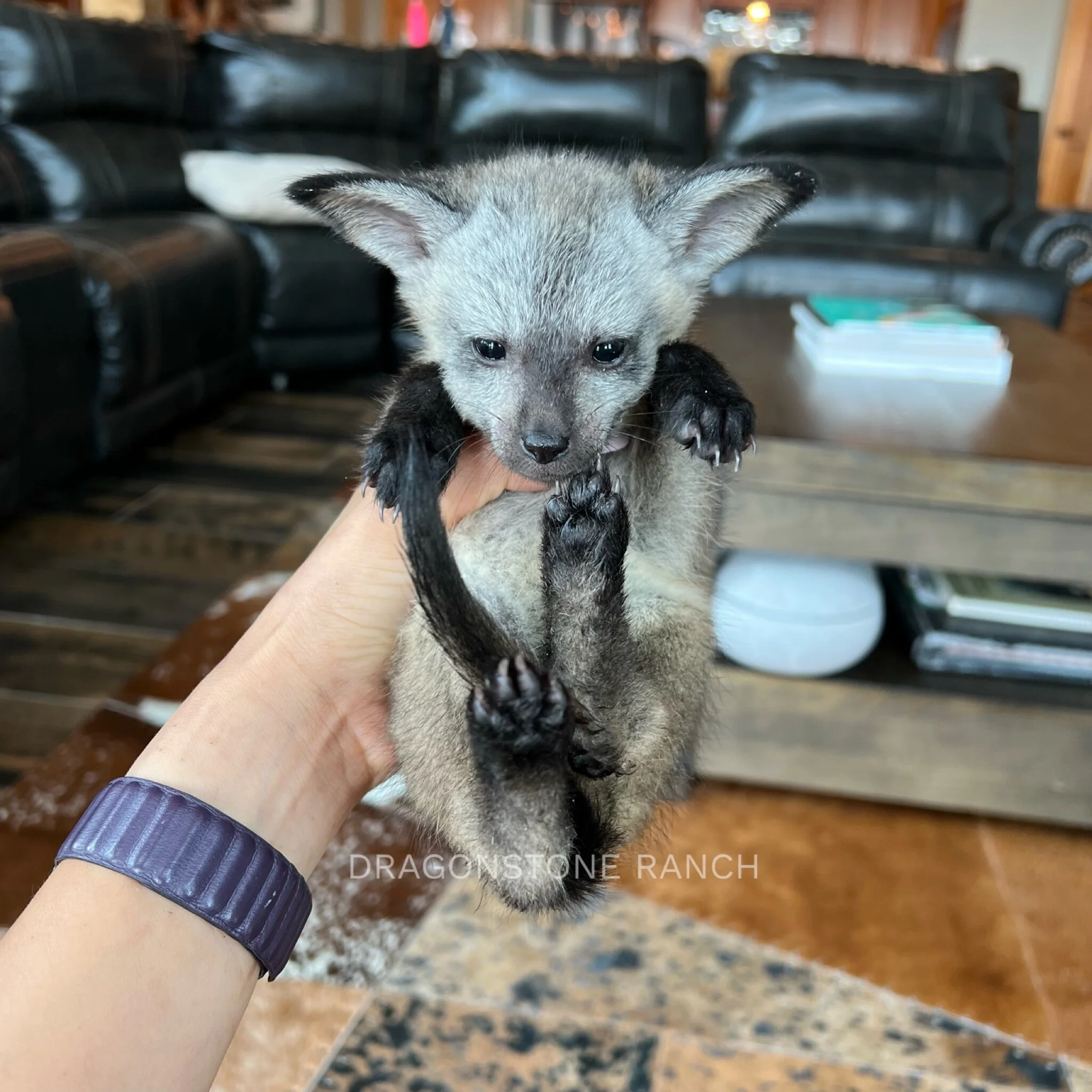 D82C6E2D-F330-486F-BDAC-CCE2D7C0C0F7