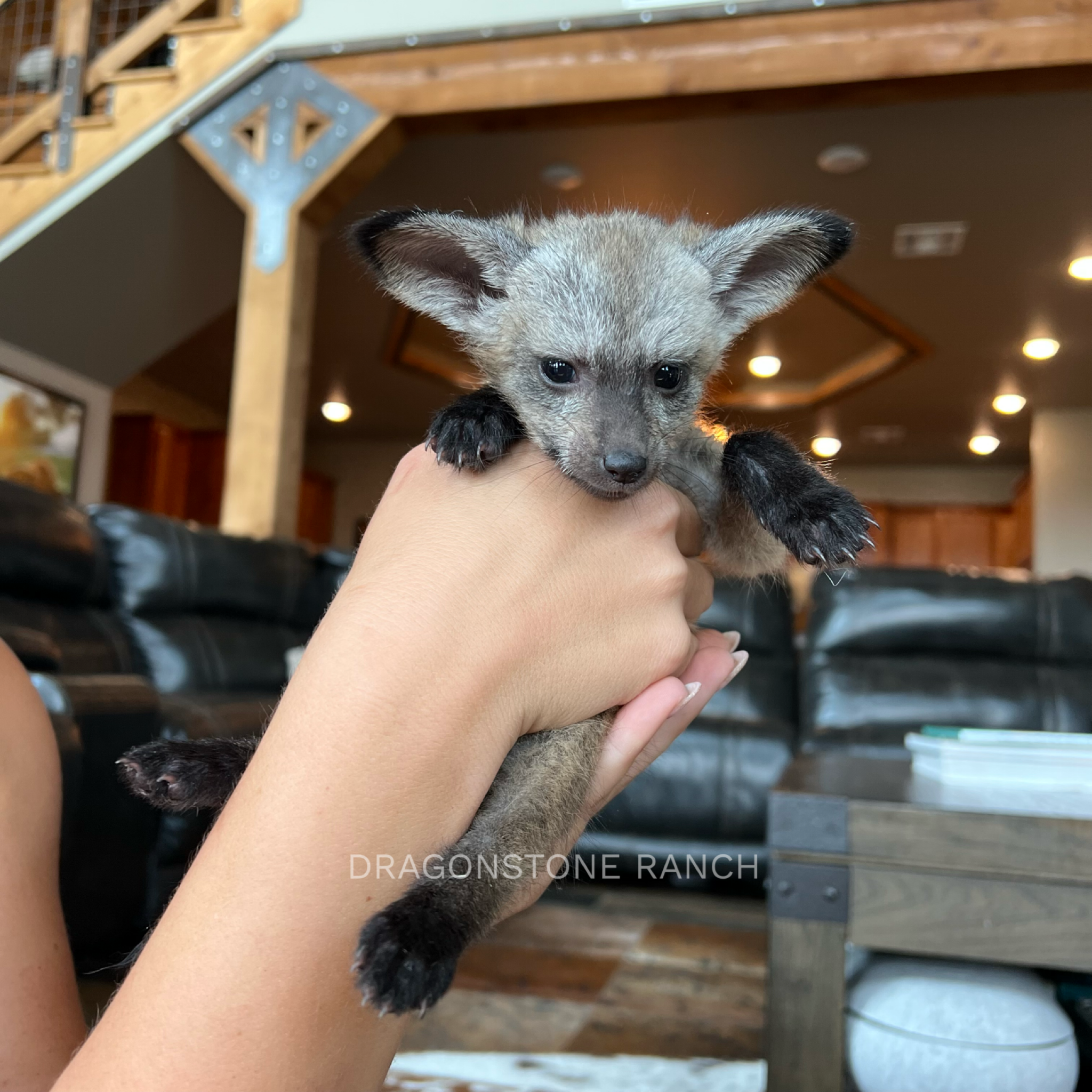 9F84D276-CE2A-4AD4-9575-152F21548EB8