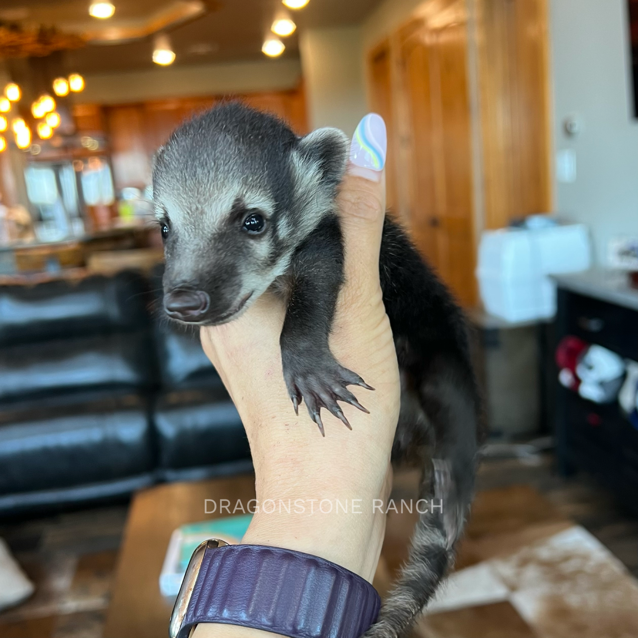 83DB2E6F-EF92-4673-AD68-36C3183F4427