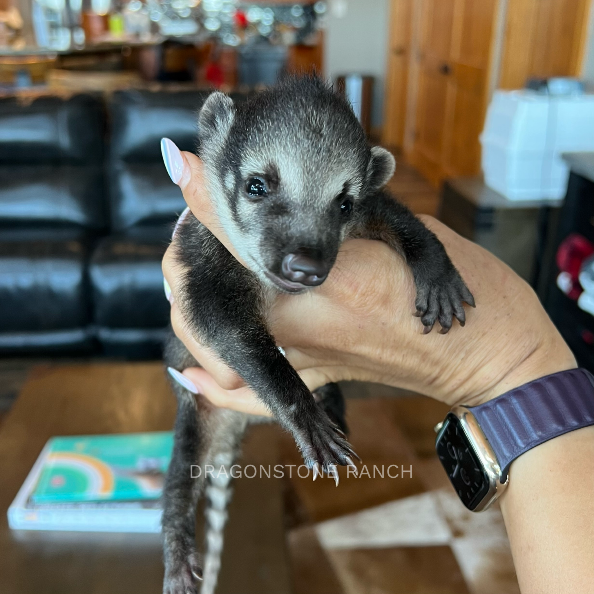 C2E1969F-0F33-4AAF-830F-A1EC99BE3C7C