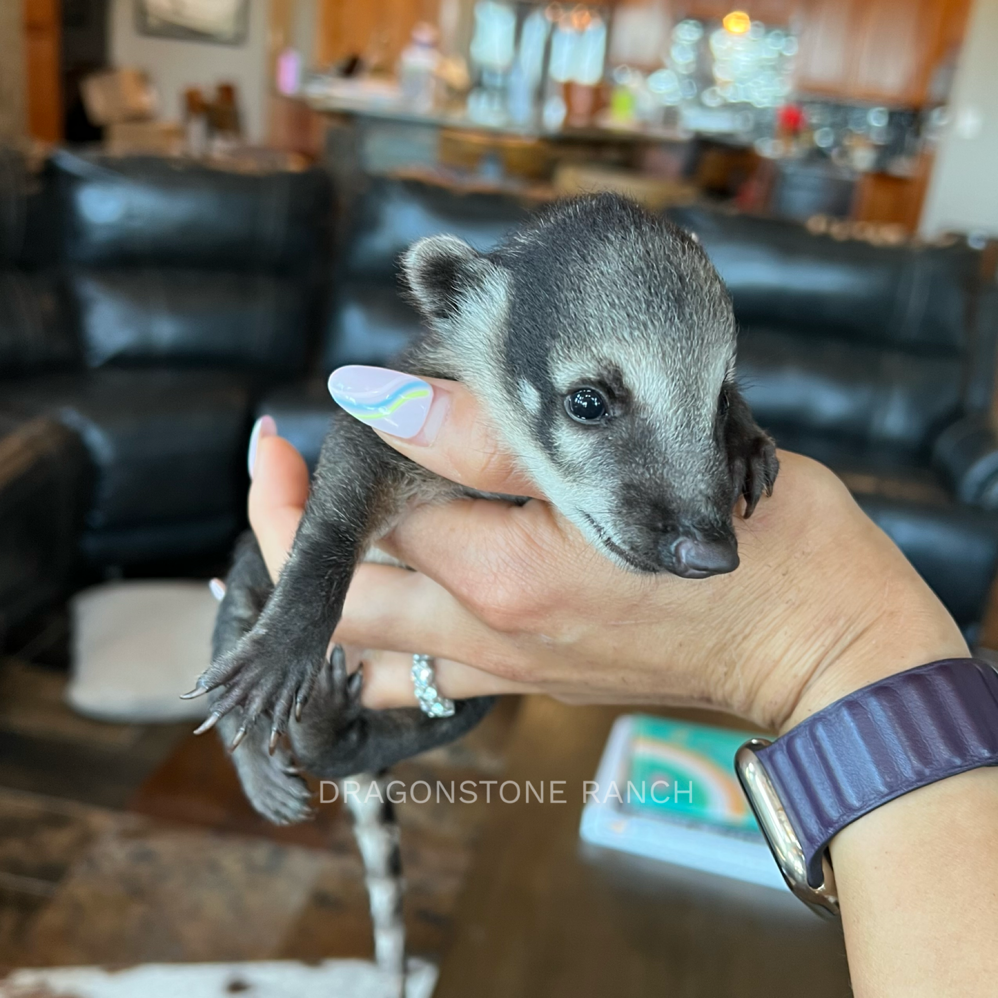 C8D336B3-7FEA-488D-B379-DA006A889F6D