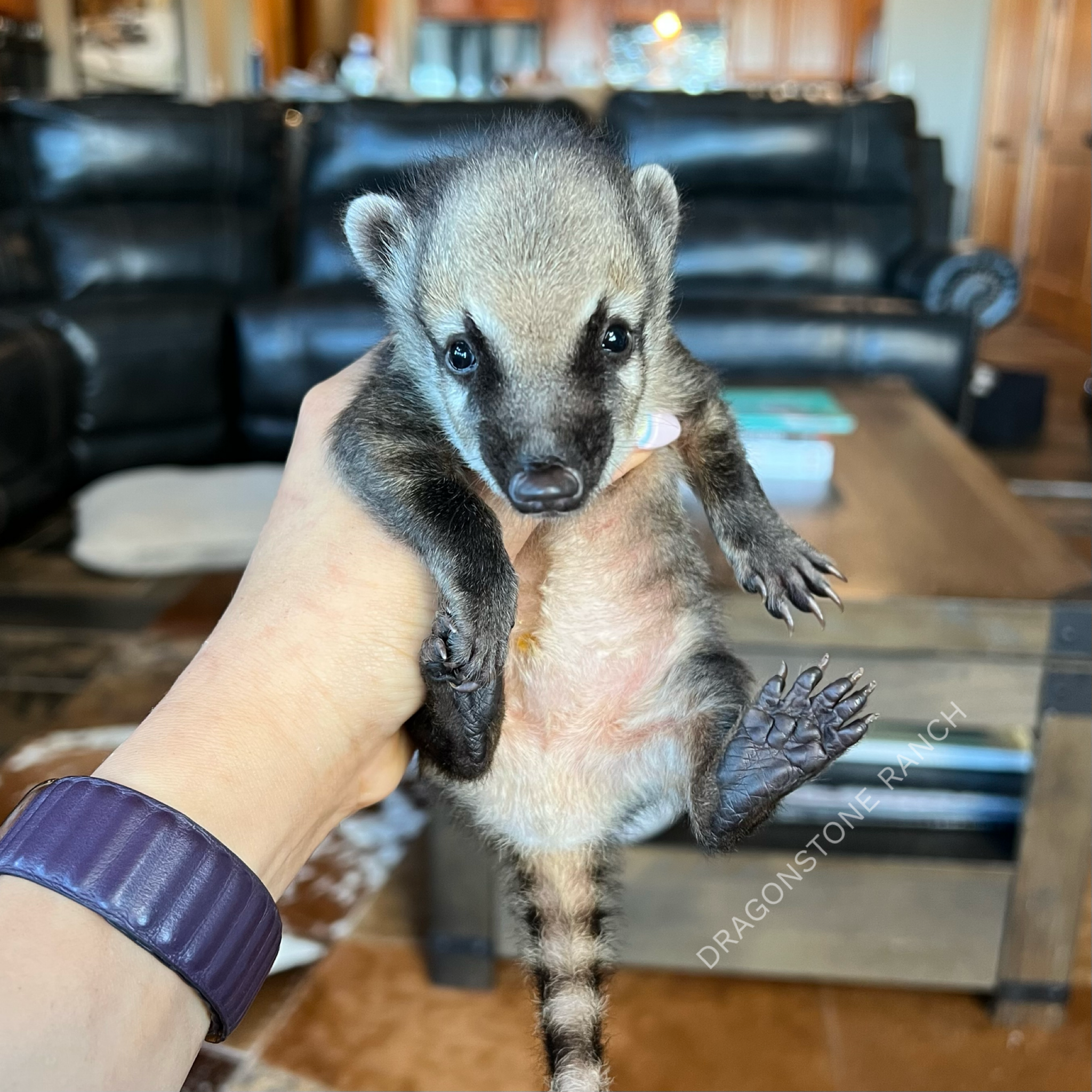 20860276-B70A-4091-98CA-7DD80D6D6A30