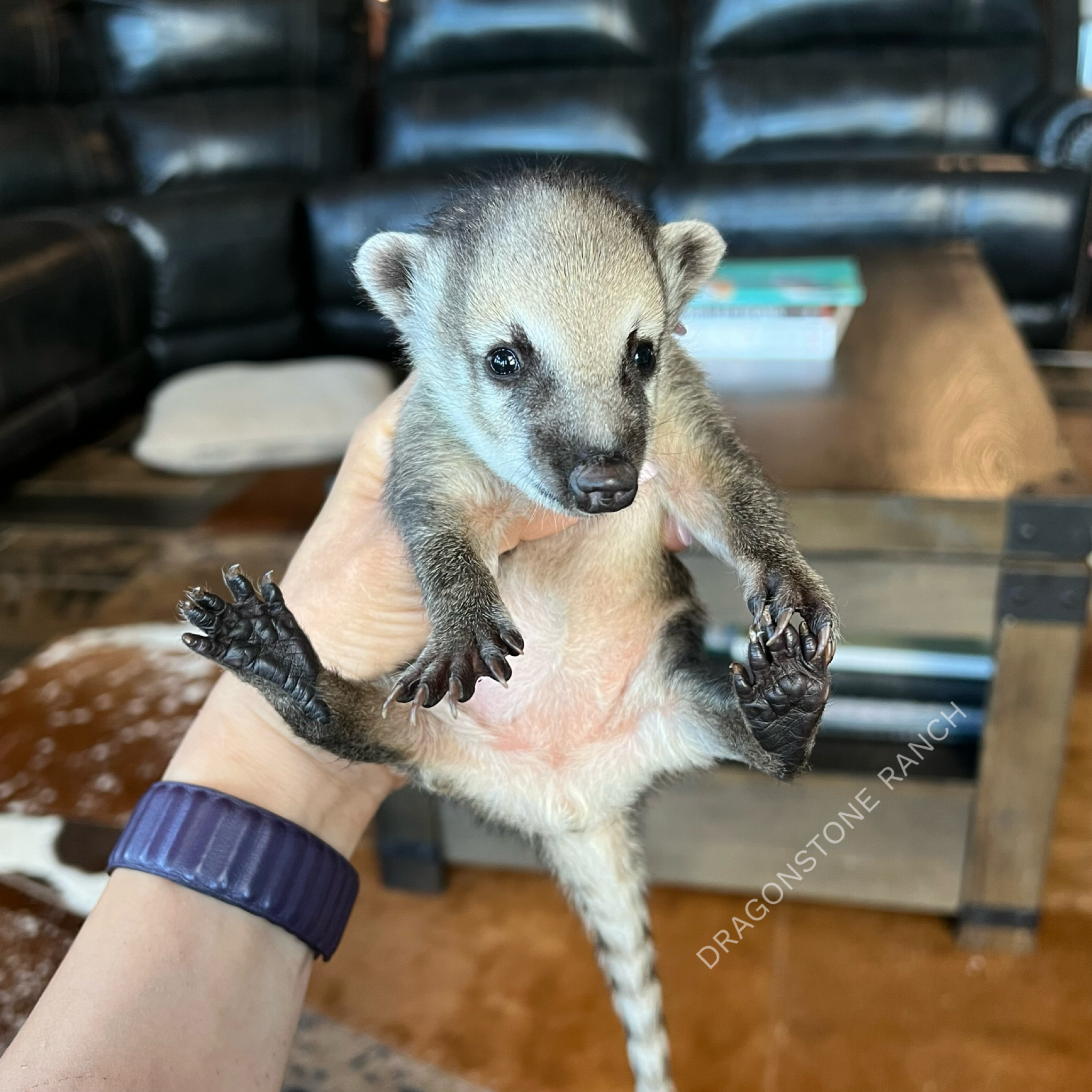 6C575B1E-8CD5-4A2F-AA40-E66199FED83F