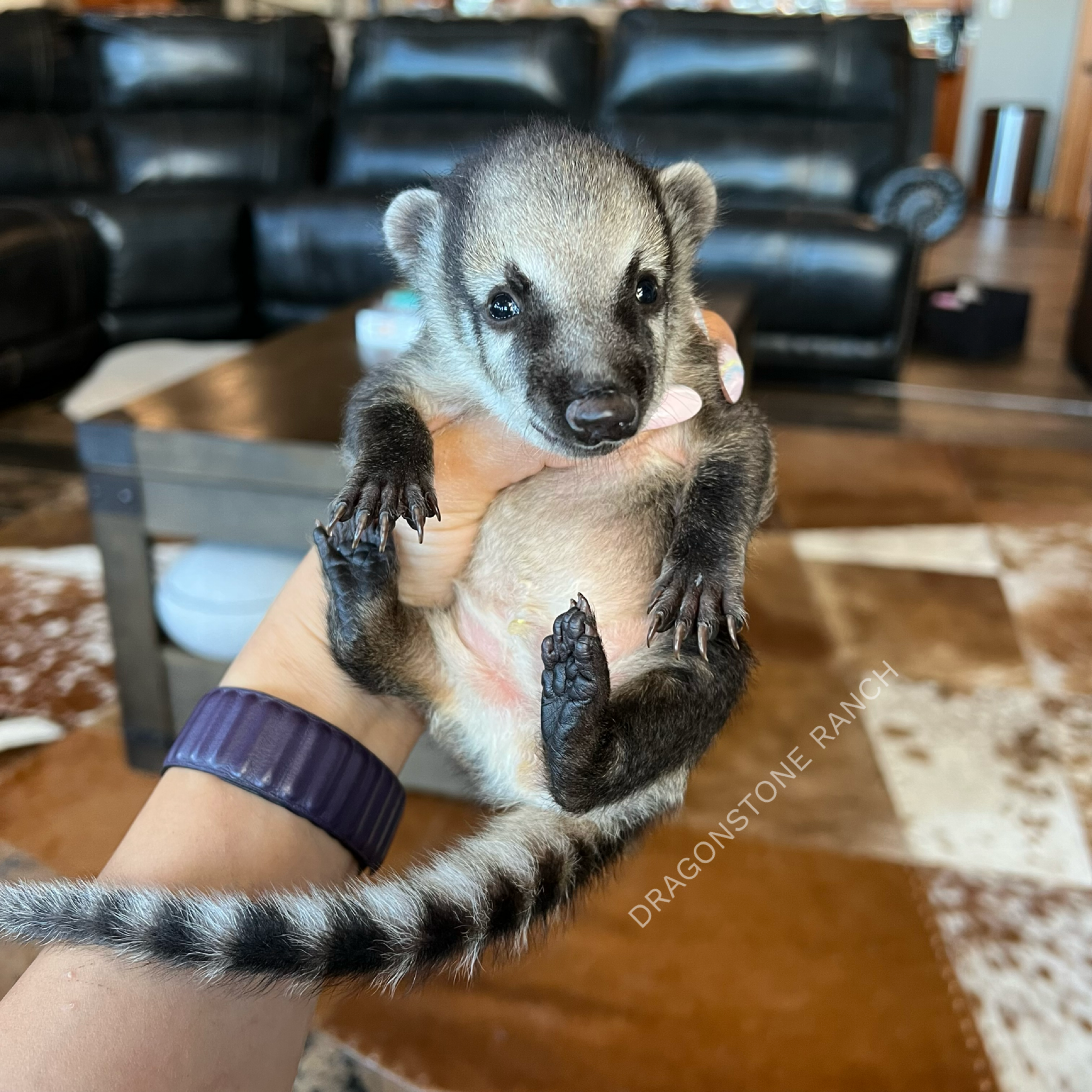 A7E398ED-E43C-4BE4-BB7C-0993E494D1BF