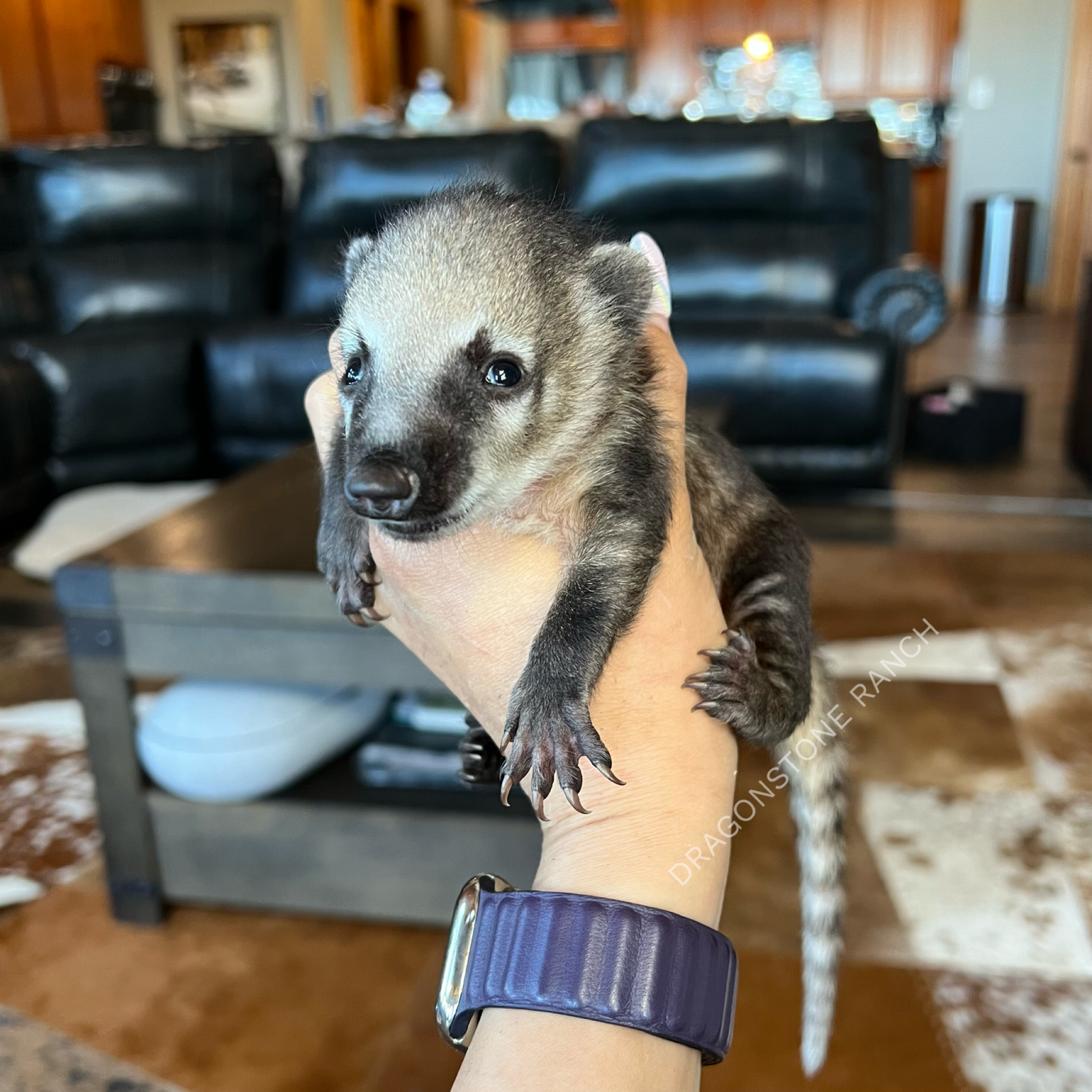 9A95B813-B752-498F-A652-1C9BE8345035