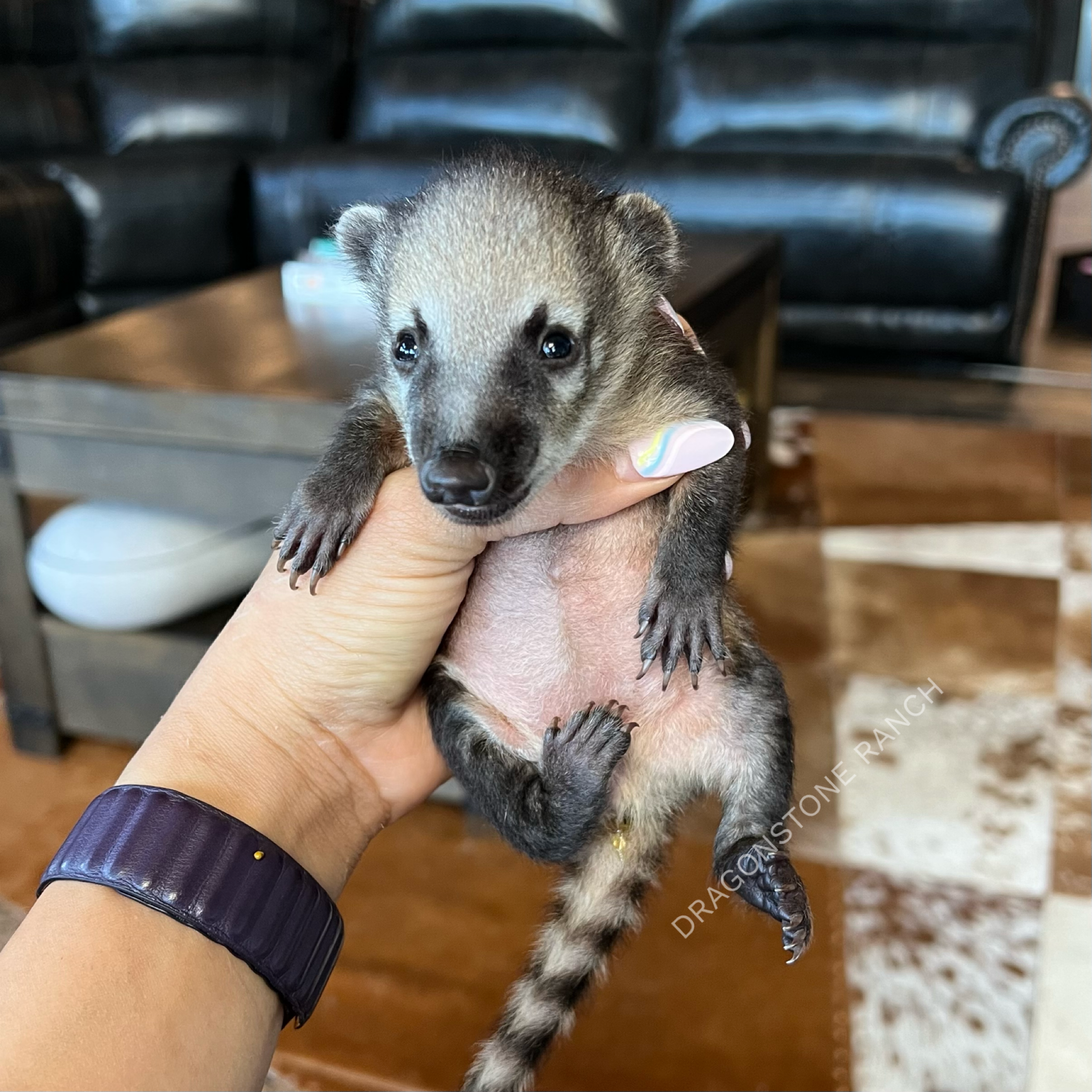 810CA576-FCF0-479E-89DC-DA7250229738