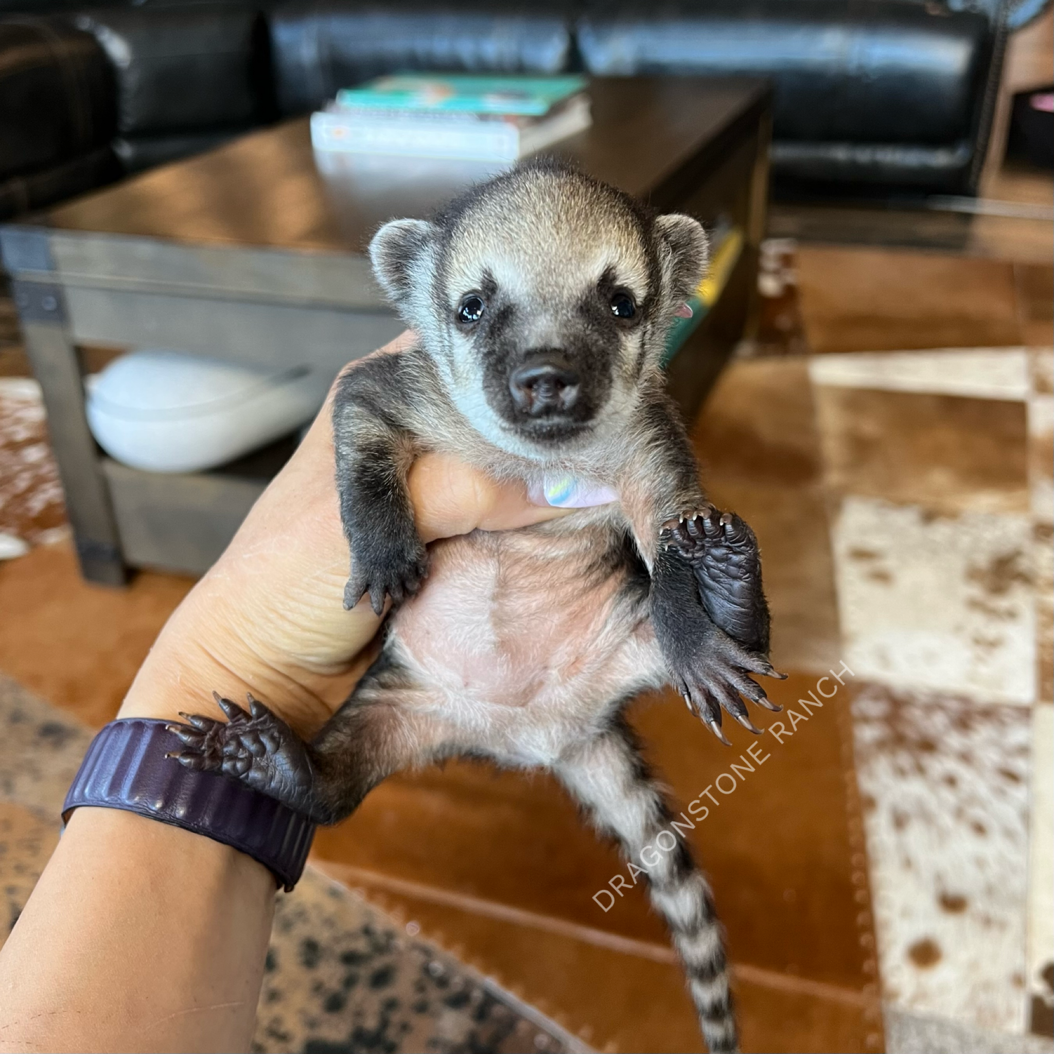 45F50D72-2388-4384-AB2E-4F1495F87EC0