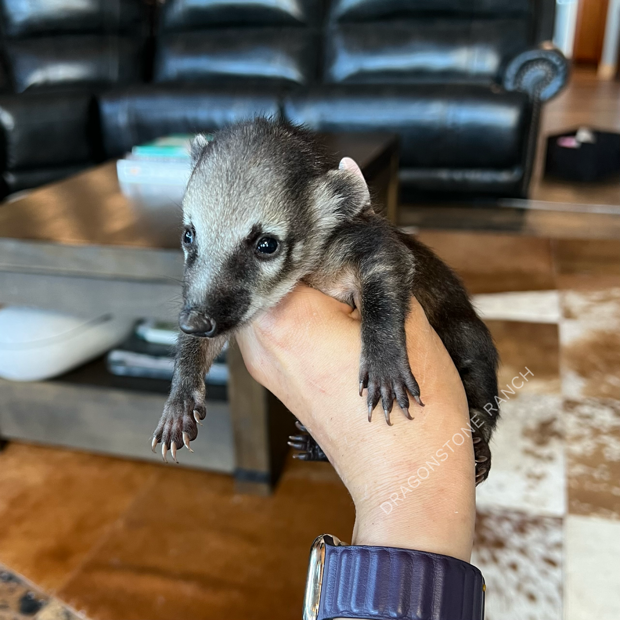 9076D040-BF26-47F9-8D21-E1A71C4DBF4A