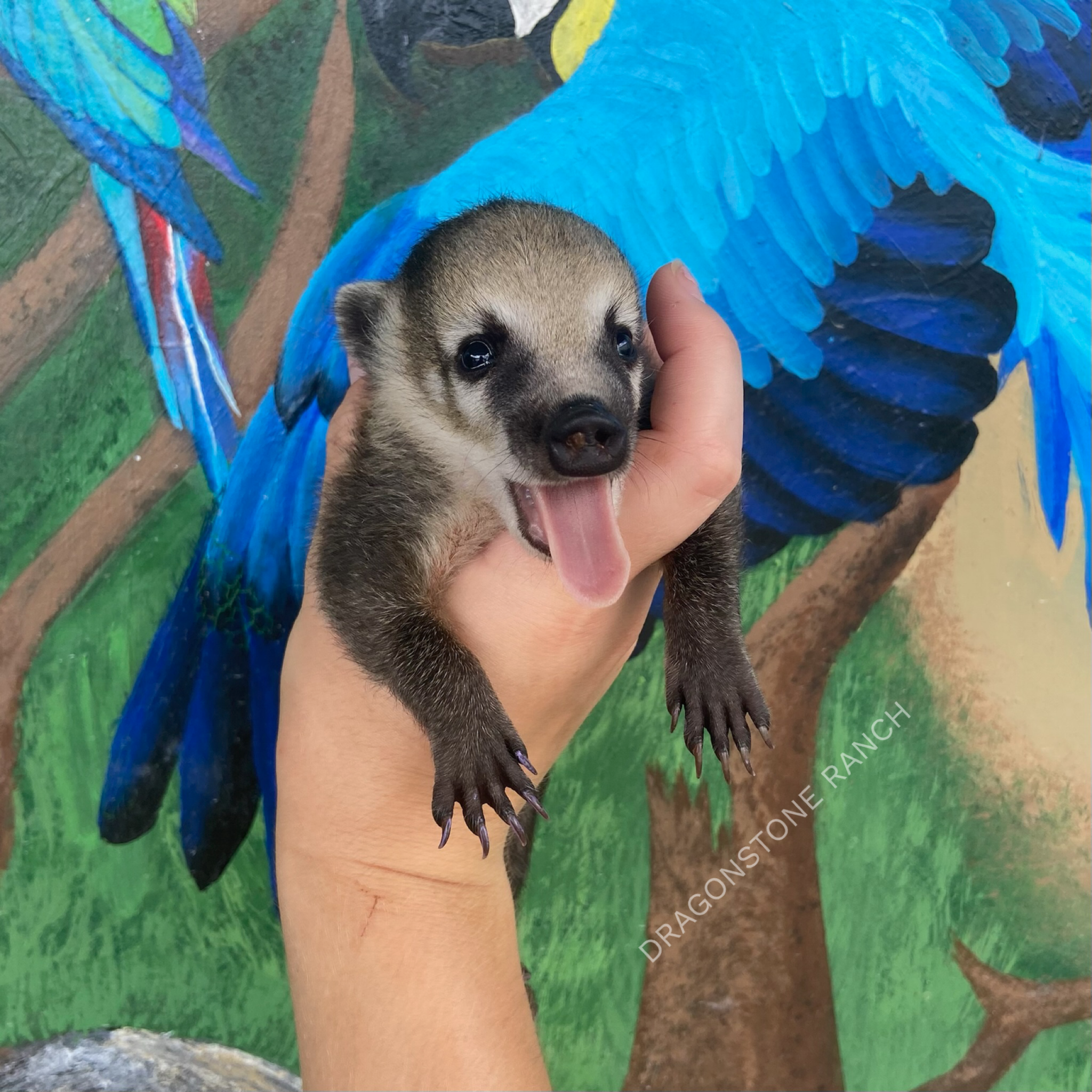 AE4A1AD2-659E-4C82-91B8-125BCC2134A8