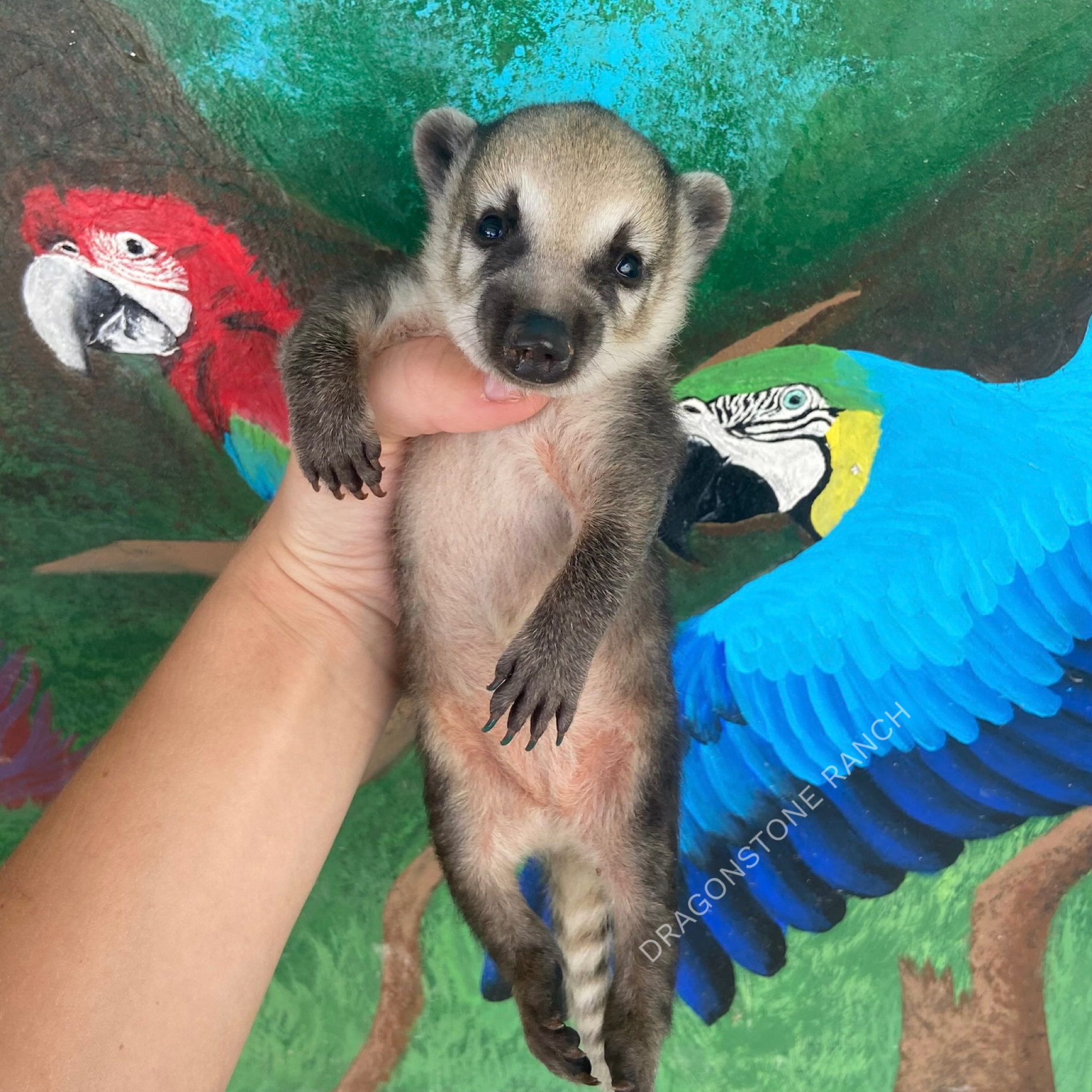 8918622A-DAFA-4C4C-91D0-EF7DF5D4CE7B