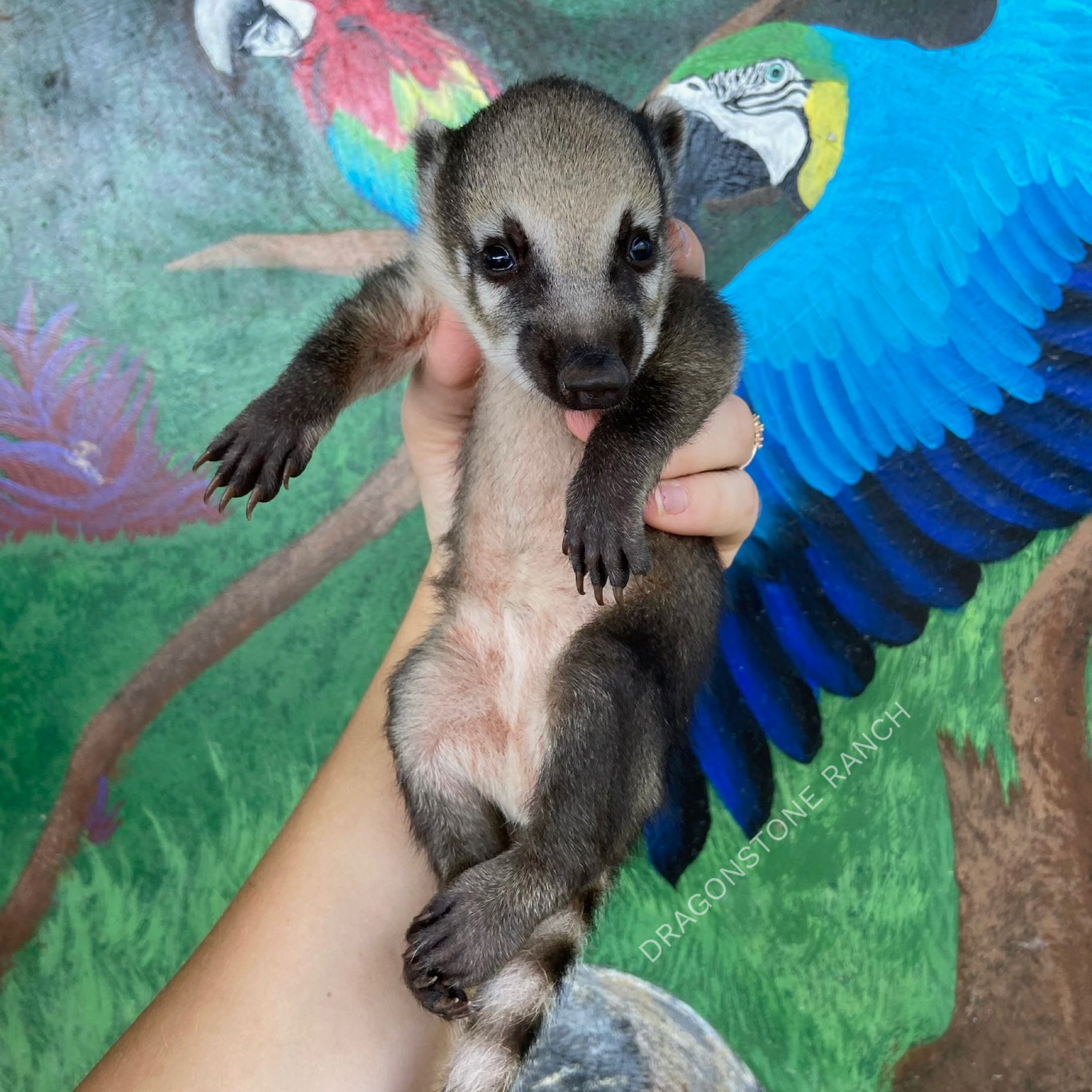 B2C00956-67A7-49CC-974B-A1D586D69EB8