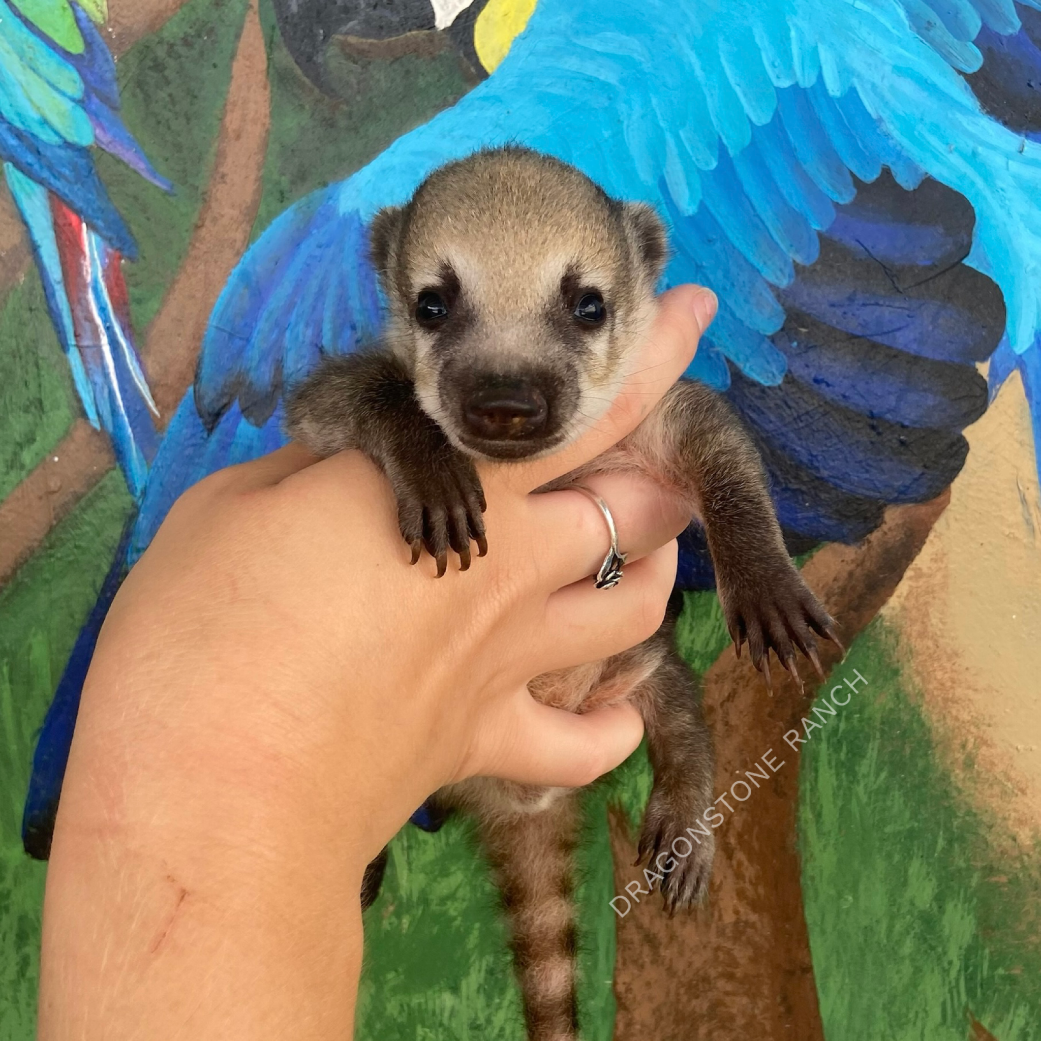 BC5D346E-371D-4145-95A7-B44BDA080D7C