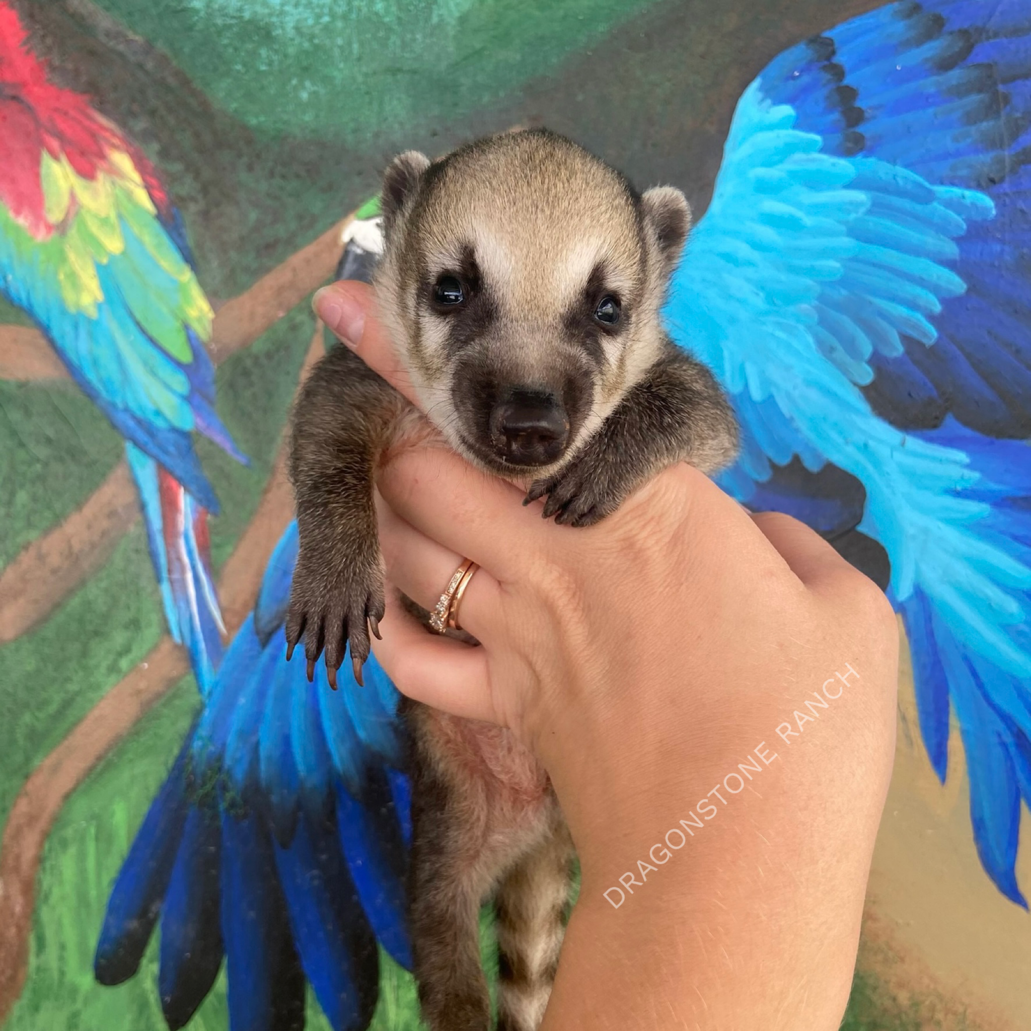 DCB8C8AE-1E6B-4C3E-87A6-01E37E7786A2