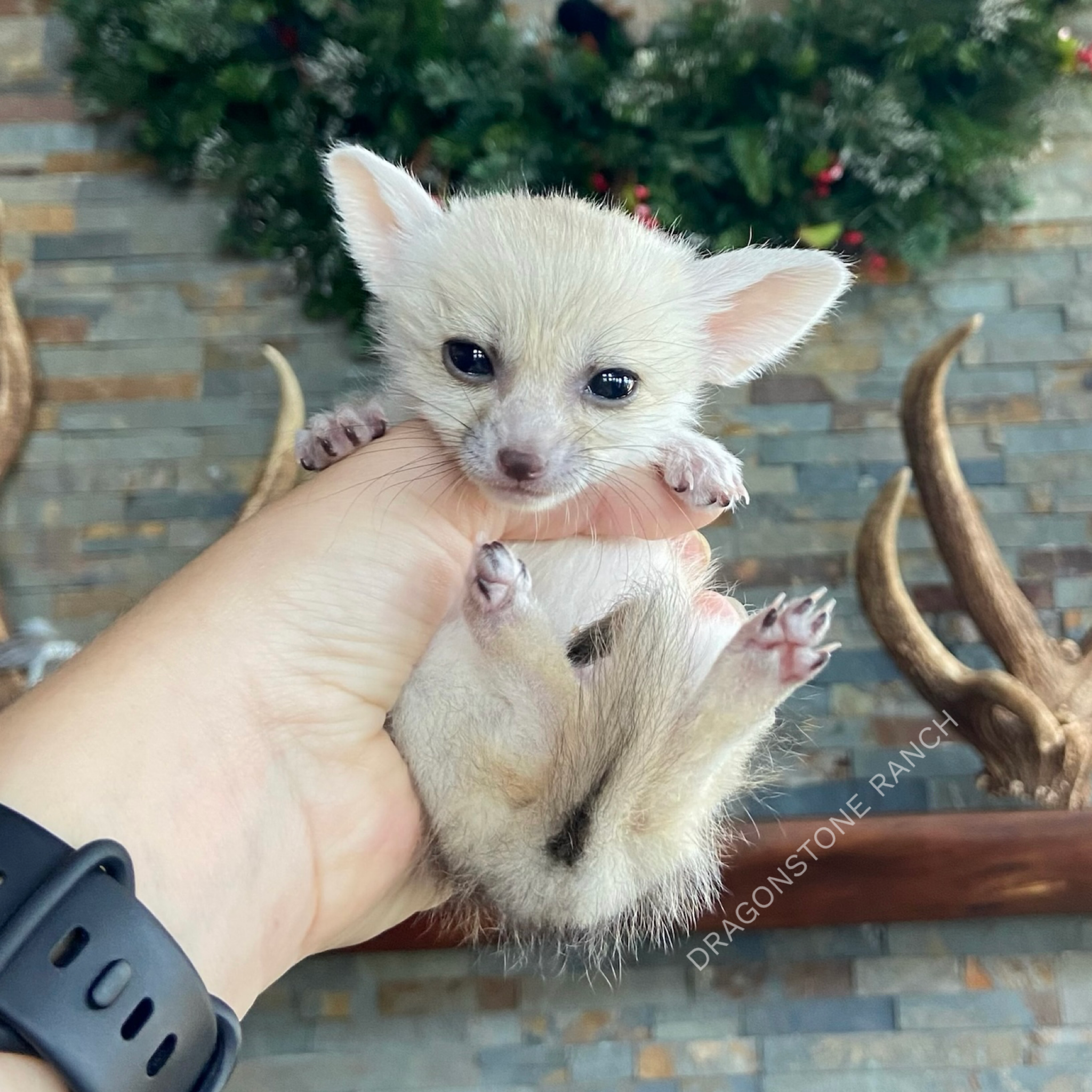 410C412A-983D-44E4-9A25-160BA86EA633