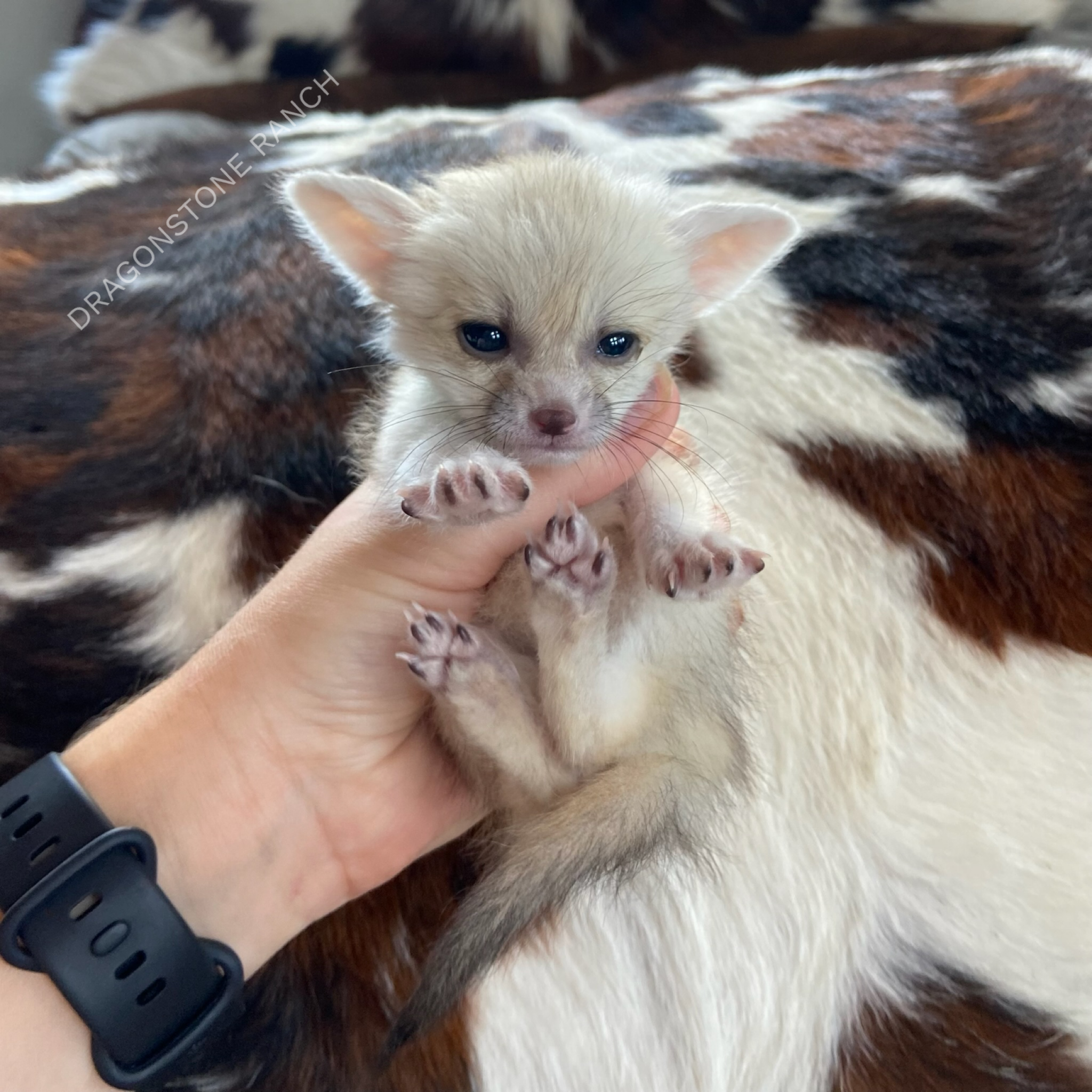 356192A5-A832-427D-AAC8-392290554A00