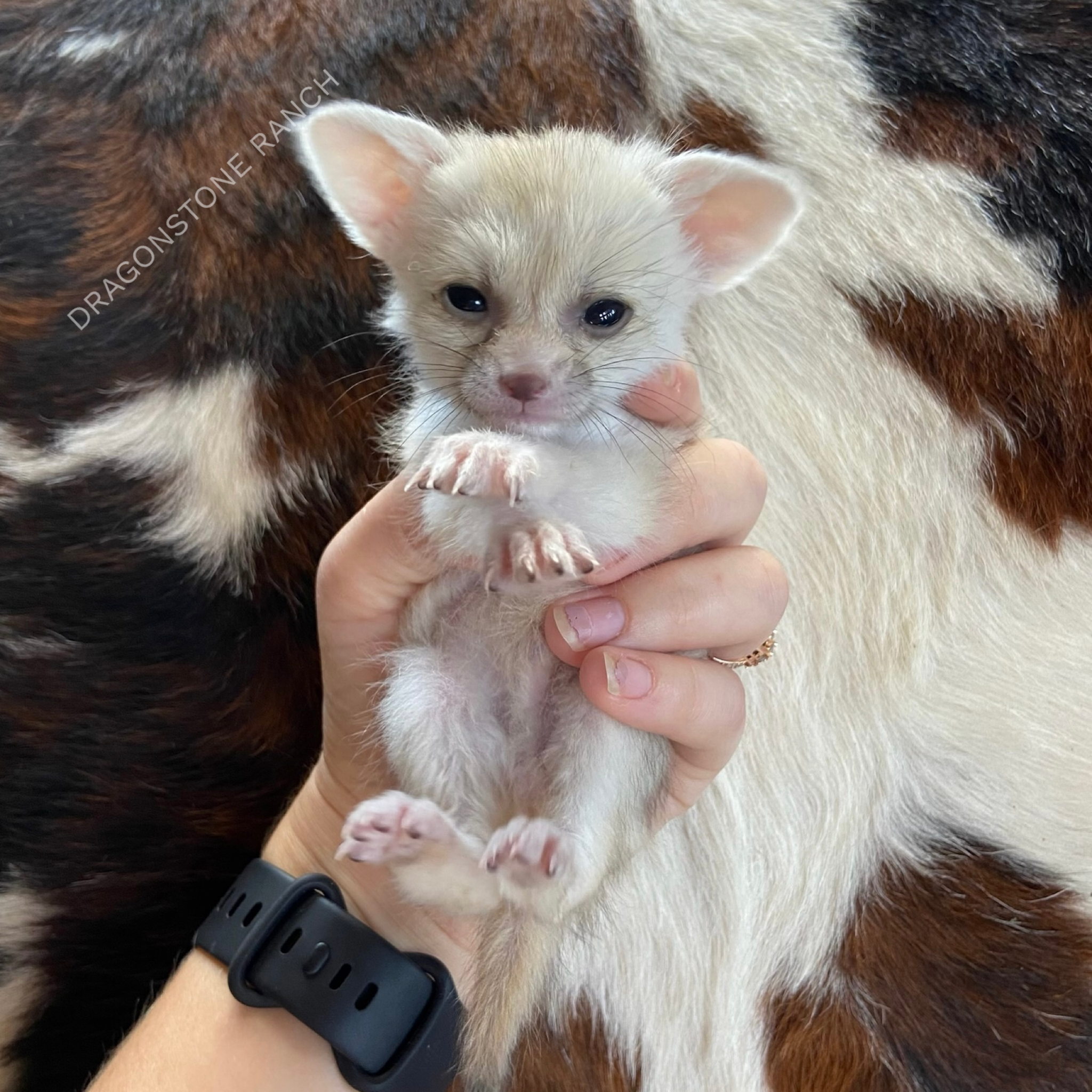 2B5F2BEA-06CA-4C46-83D4-CE8902FC06F0