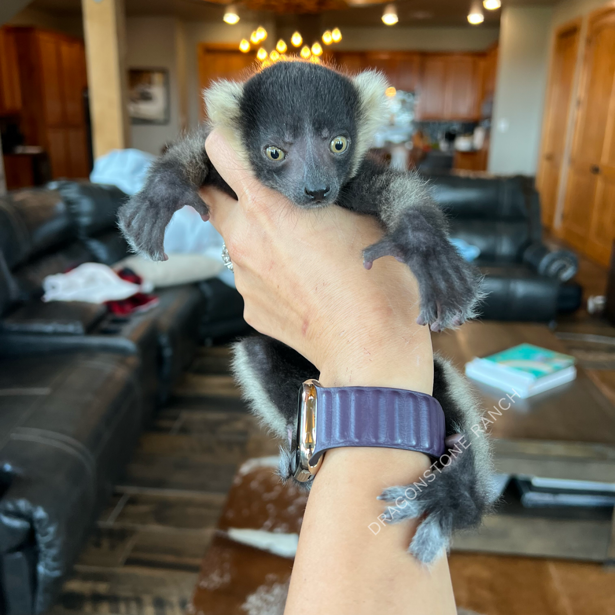 9A79EC13-C4DB-4717-8F5D-BEB43100C52C