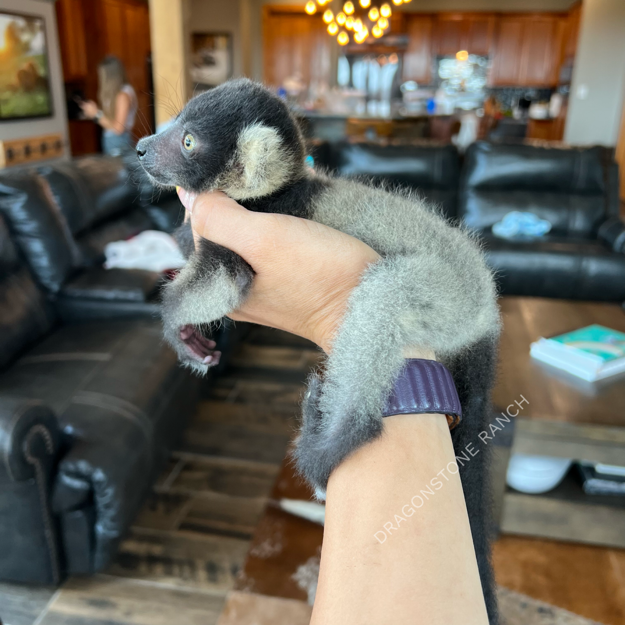 3A9A0541-D7E5-47C2-8994-9F1BED506C81