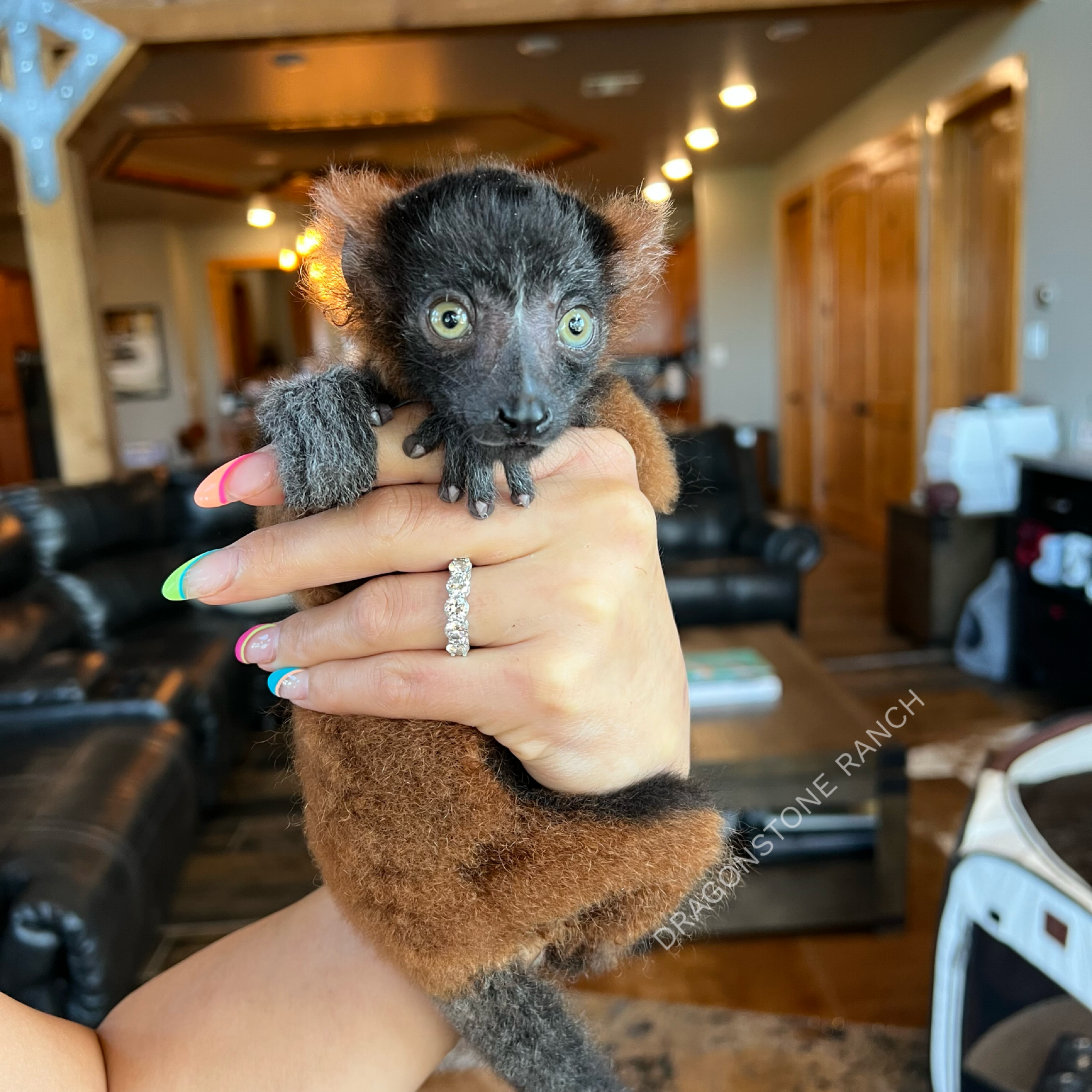 B575BB19-265D-4A77-94C4-D1A684EB3F0E