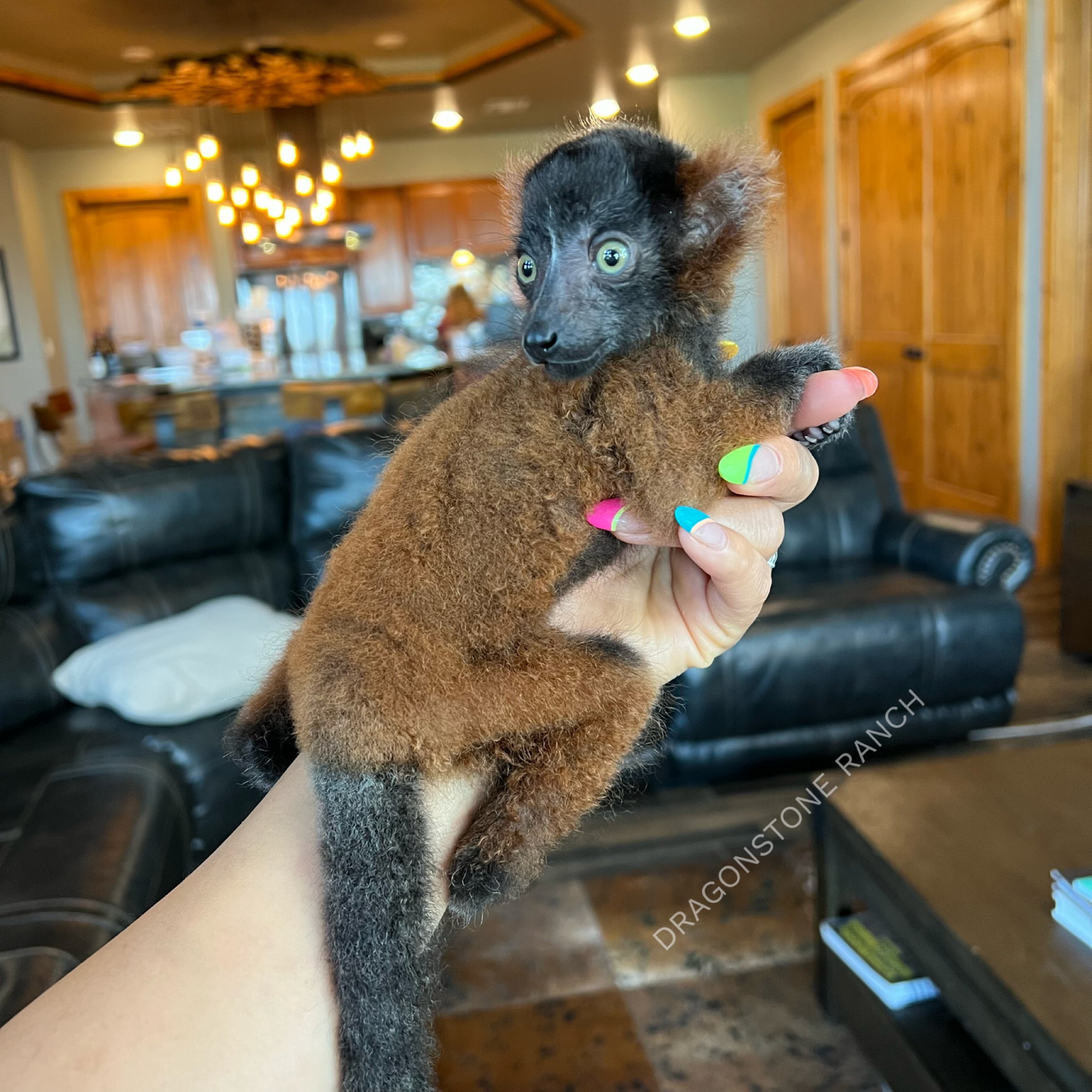 974A31F5-1308-4876-A2DD-DA61CAD1C848