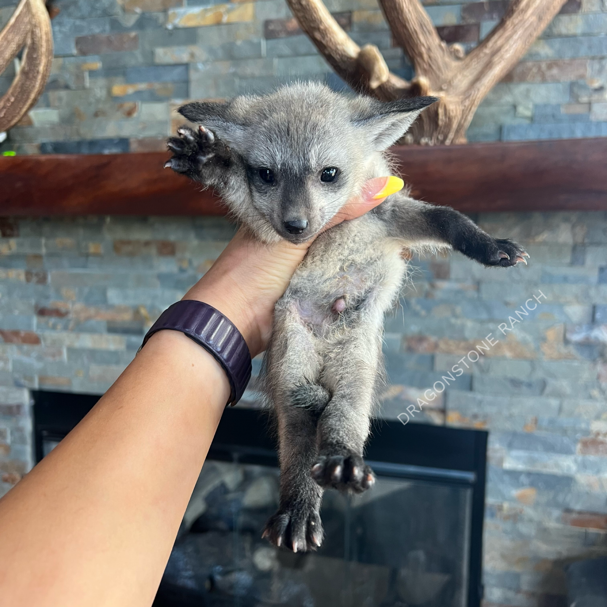 0246717C-1E78-4F3D-95F8-A0E94A36BEE1