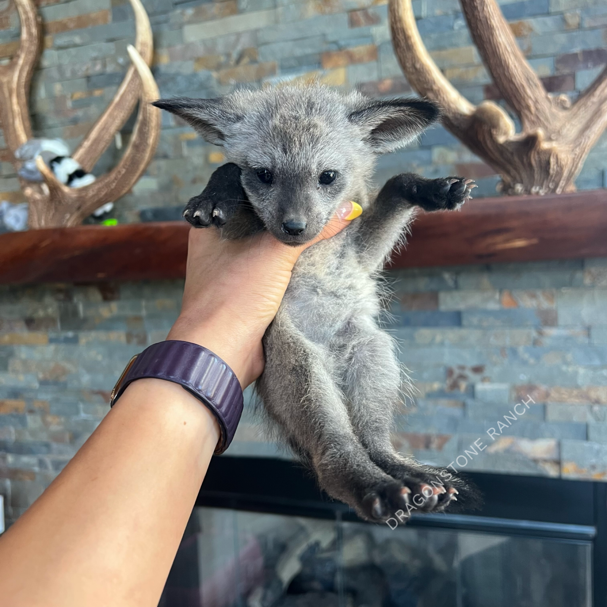 99FFAE93-DACB-409D-949F-AABF04A5A4BB