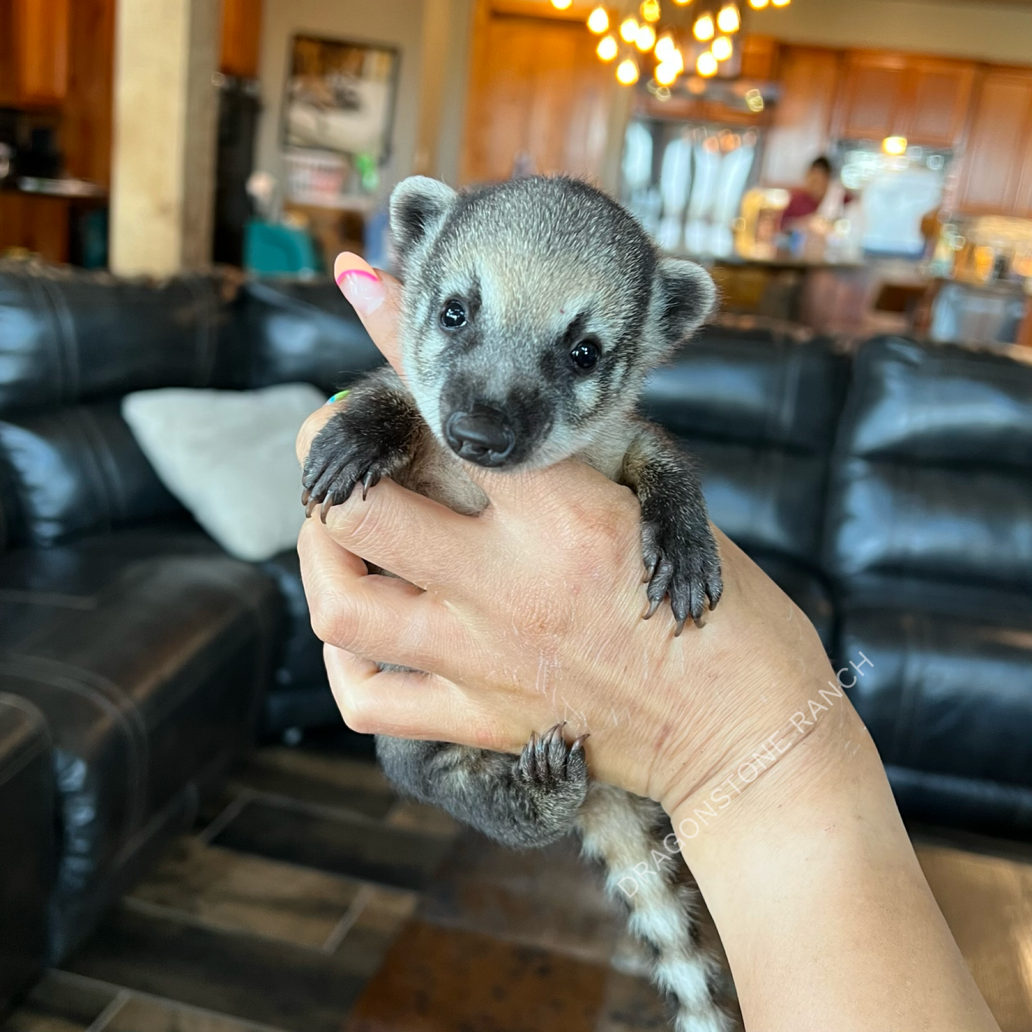 1B2E828C-801A-46B5-8F24-0A20E280787C