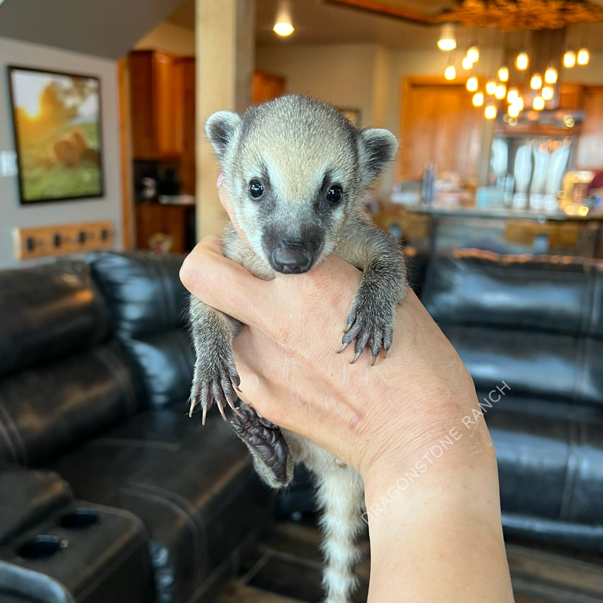 1130AF82-E04E-4AA3-8D9A-A5D8E68DB822