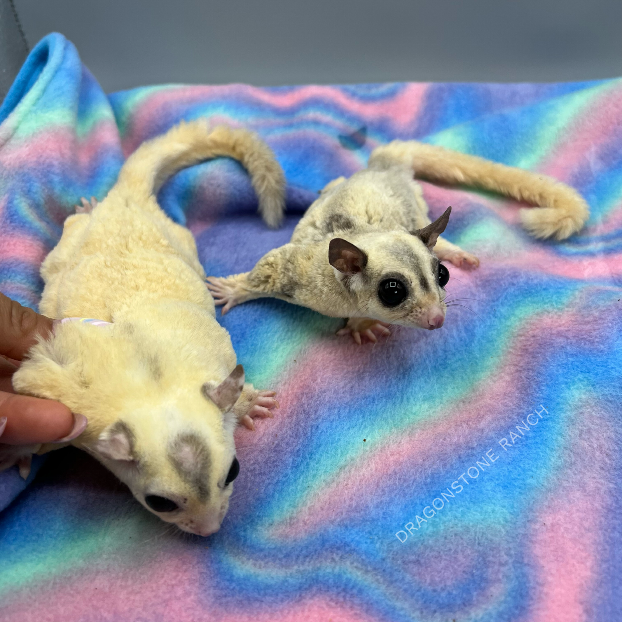 A4B90144-6CE9-4686-ACBB-64586D04BEF6