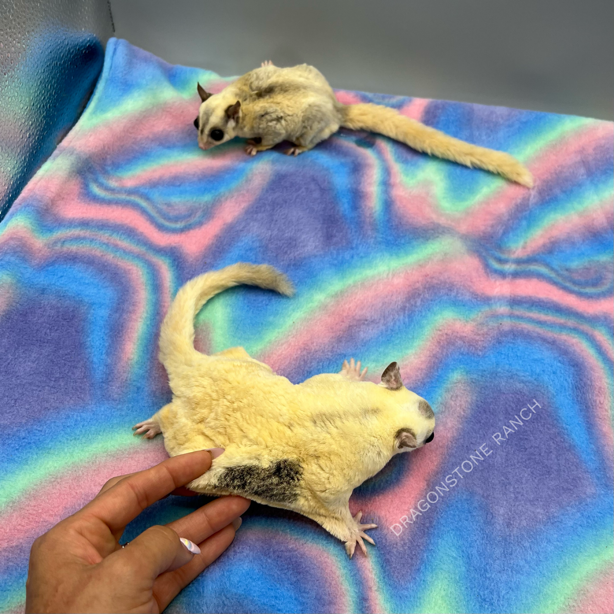 3FE28737-70D1-44F2-914D-B32D8A9820E0