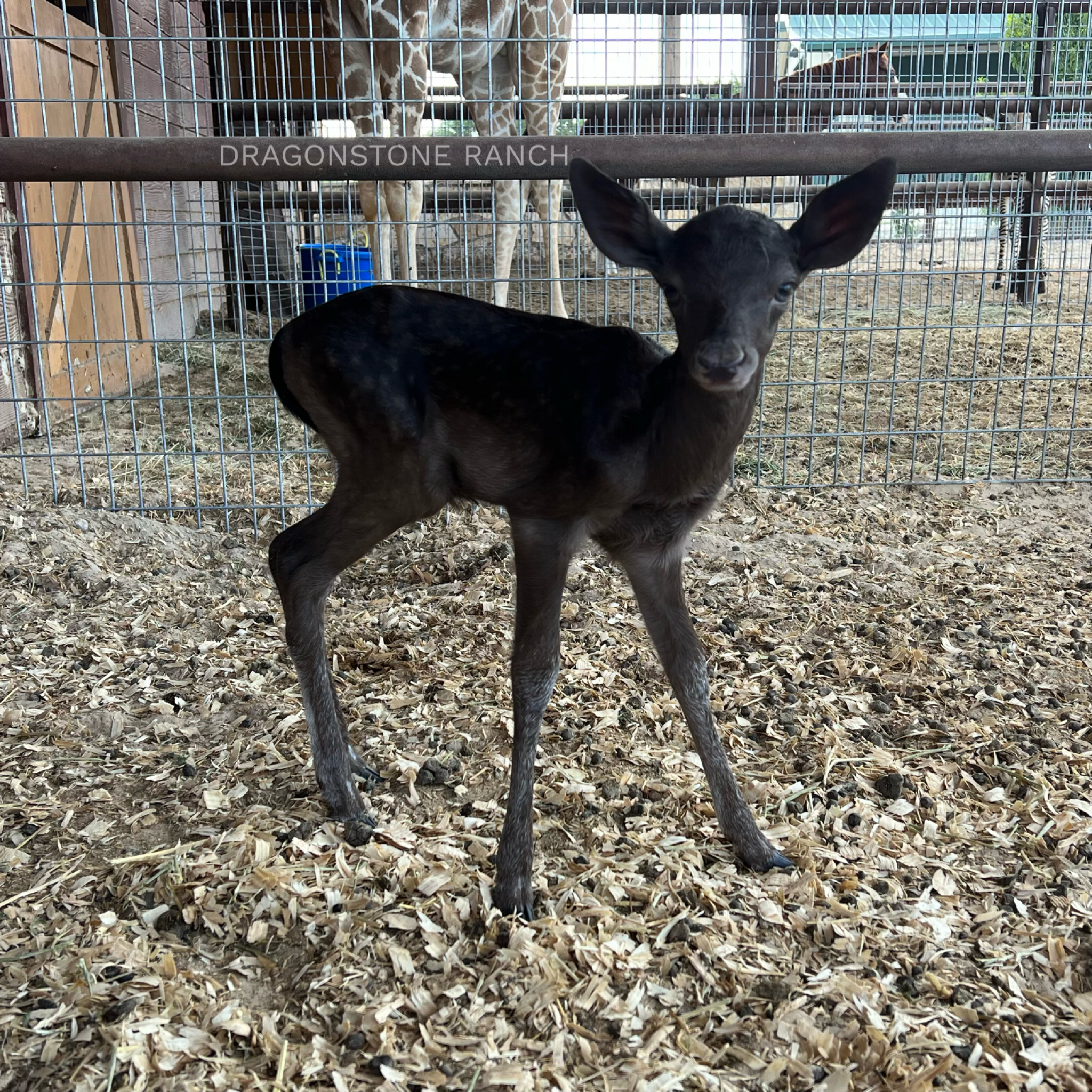 51156288-2C07-4DDE-AD53-402B2D8AD1A5