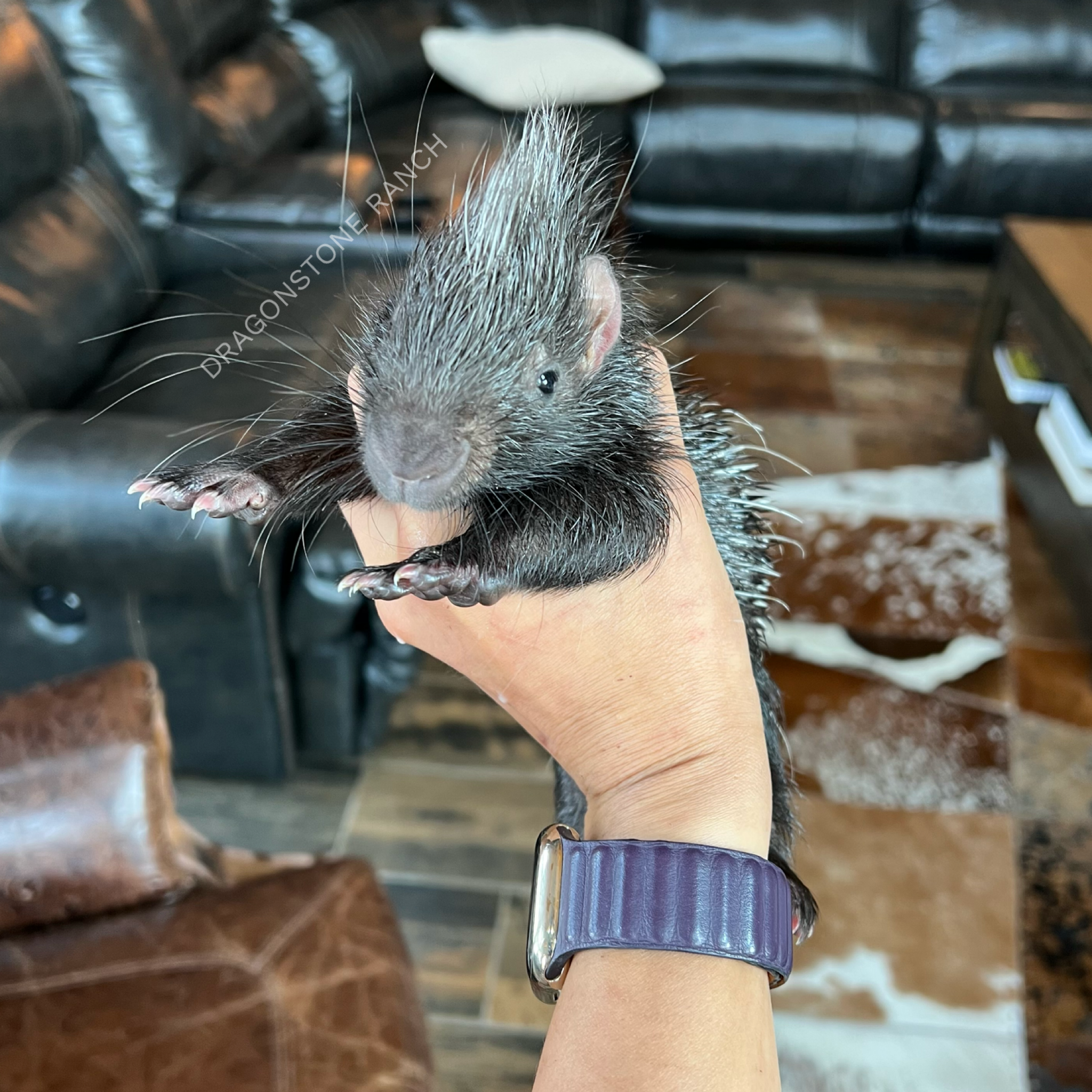 EB72074B-292C-498B-BECE-A6E51445CD8B