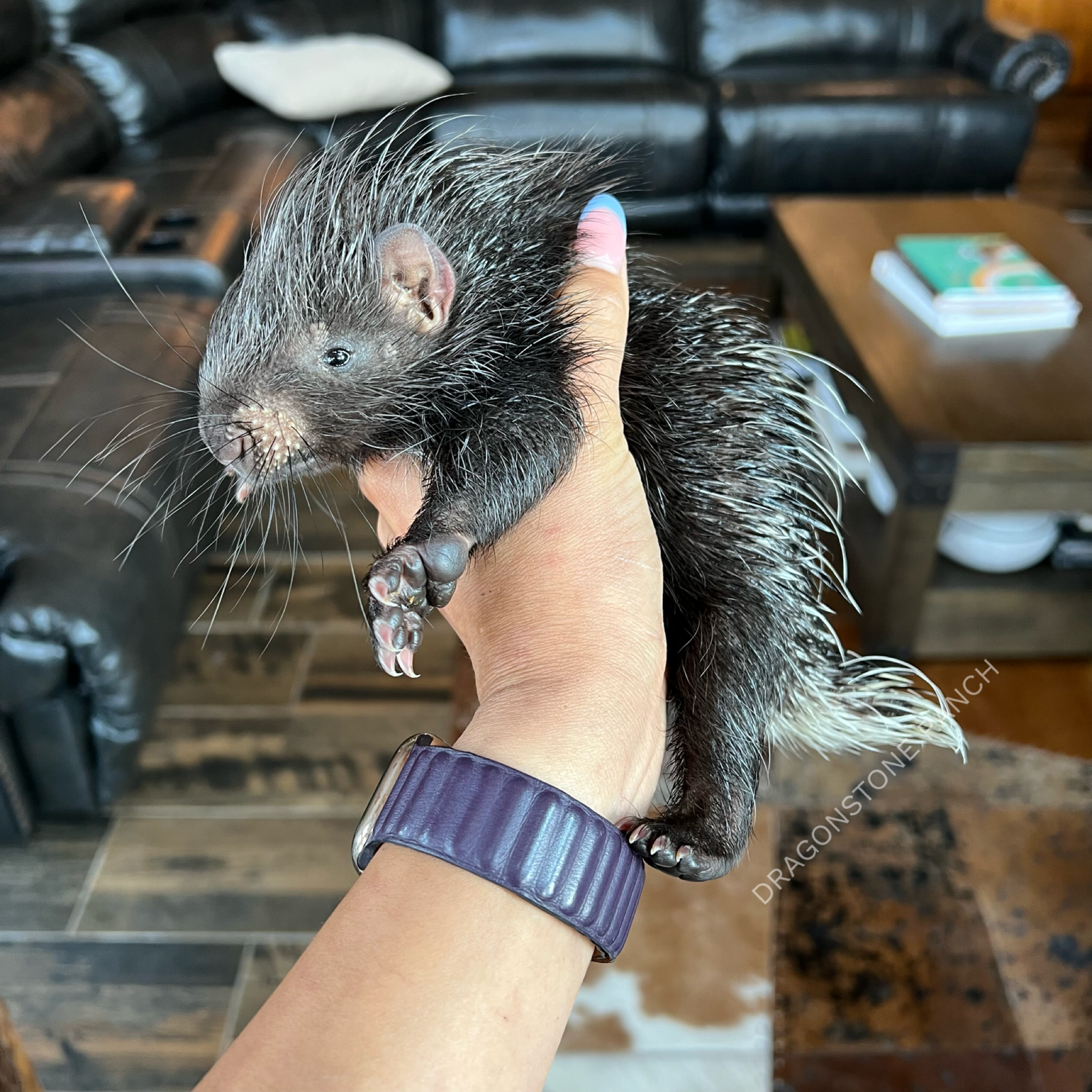 C75687E4-0917-48B8-9D93-CF83023A1886