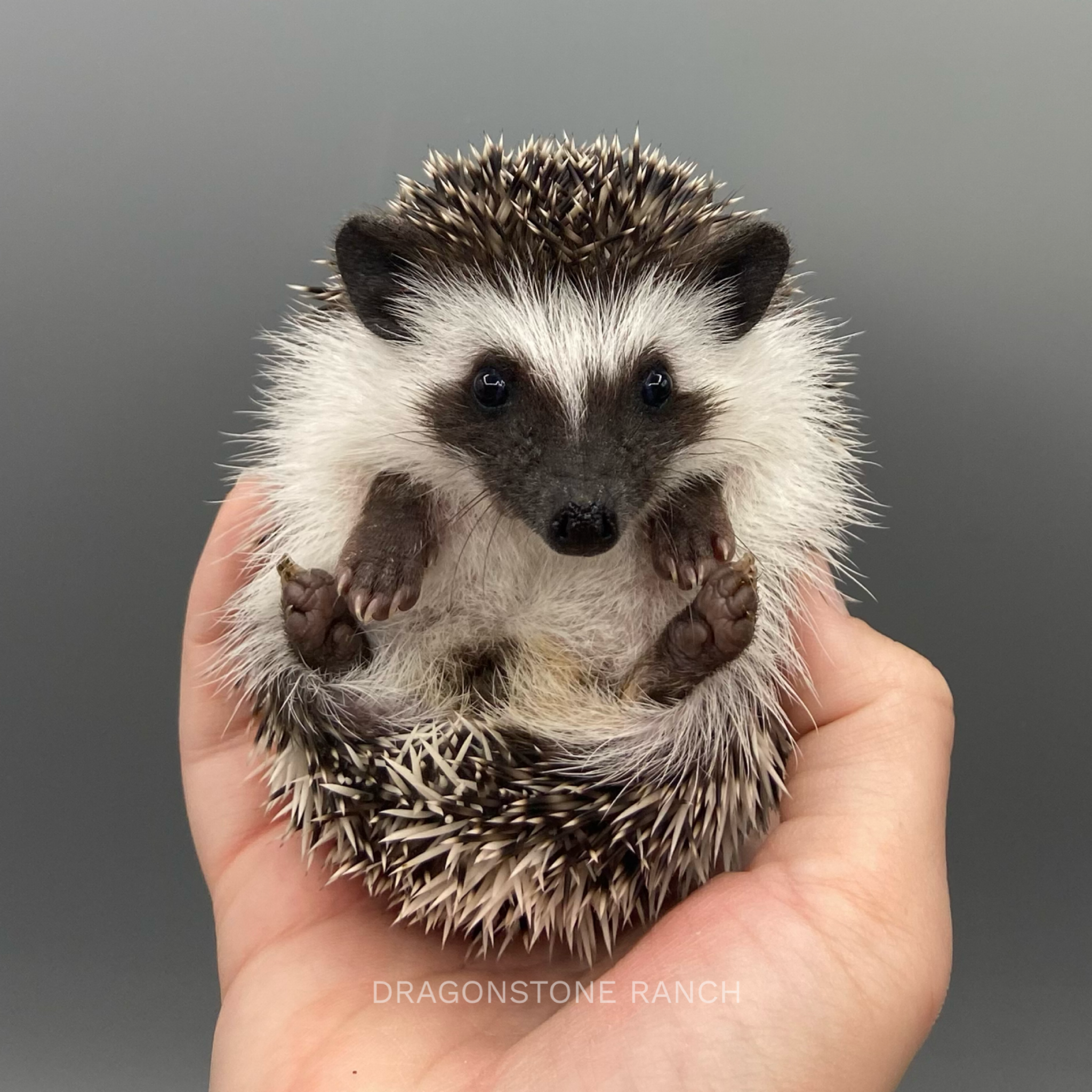 005689AB-4E65-4803-8C85-41B70A89FDBE