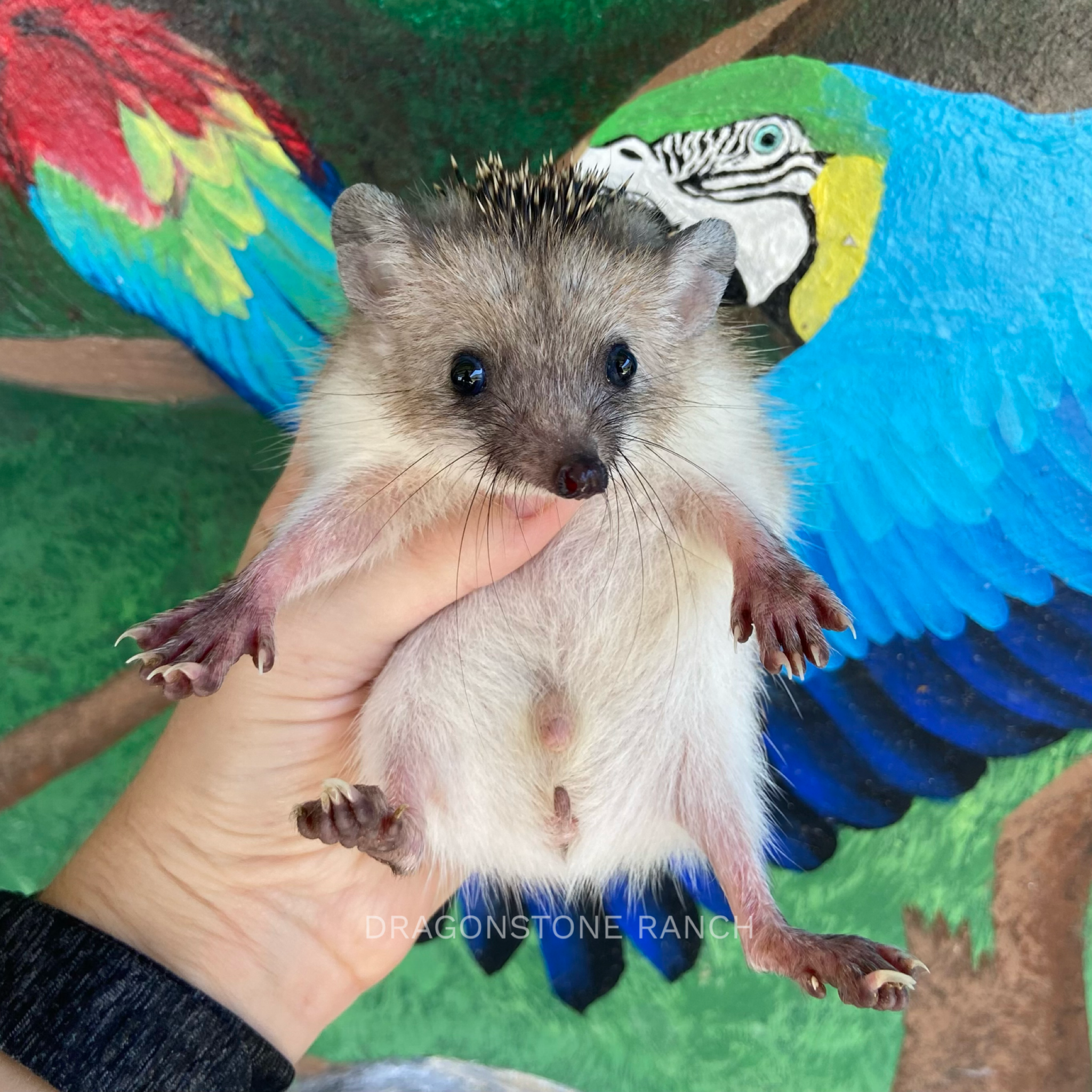 A78726F6-343E-4D9F-8153-A95F6A725F83