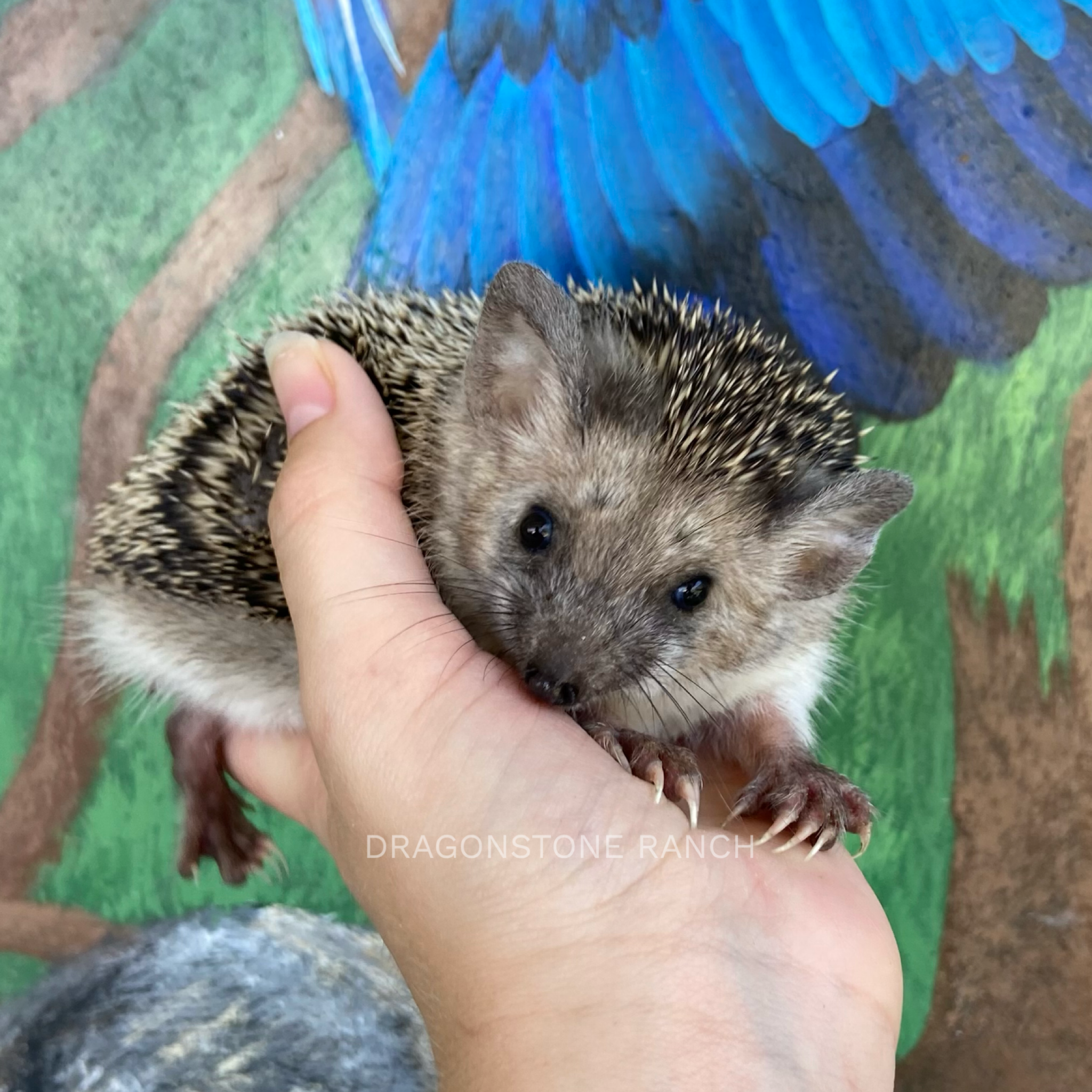 750032AA-29F4-4D91-BF06-2C4535BEB0FF