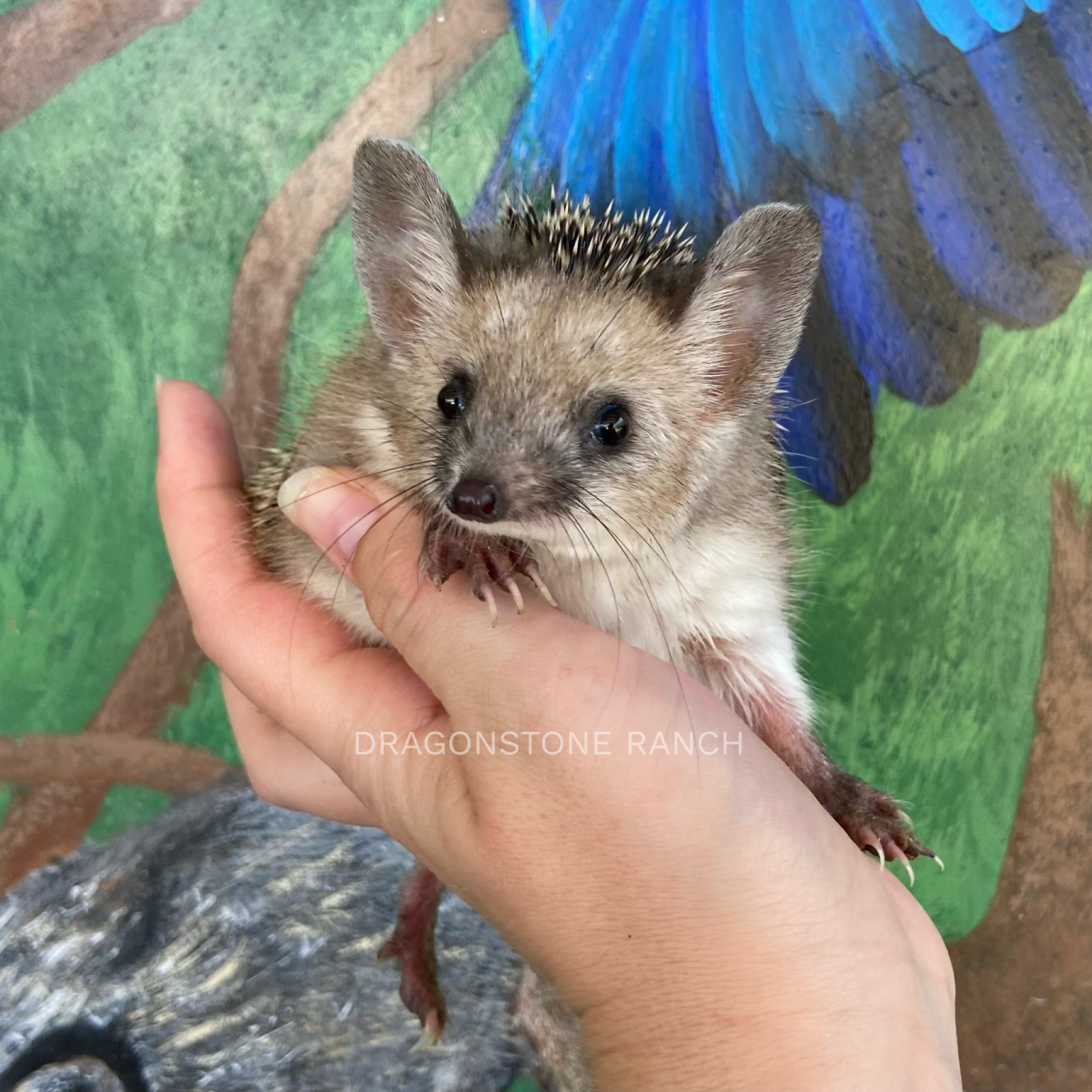 BB296EE2-FC24-4416-9A81-A440D9455A5A