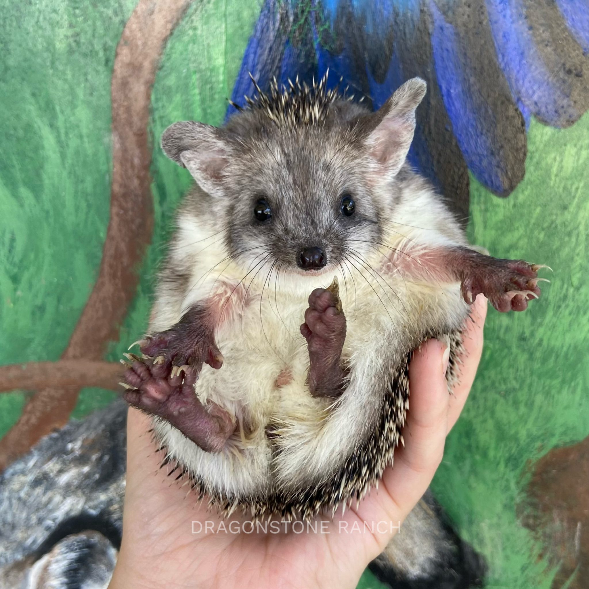 2E627013-C8C0-414C-9E9B-AC4387DFBE61