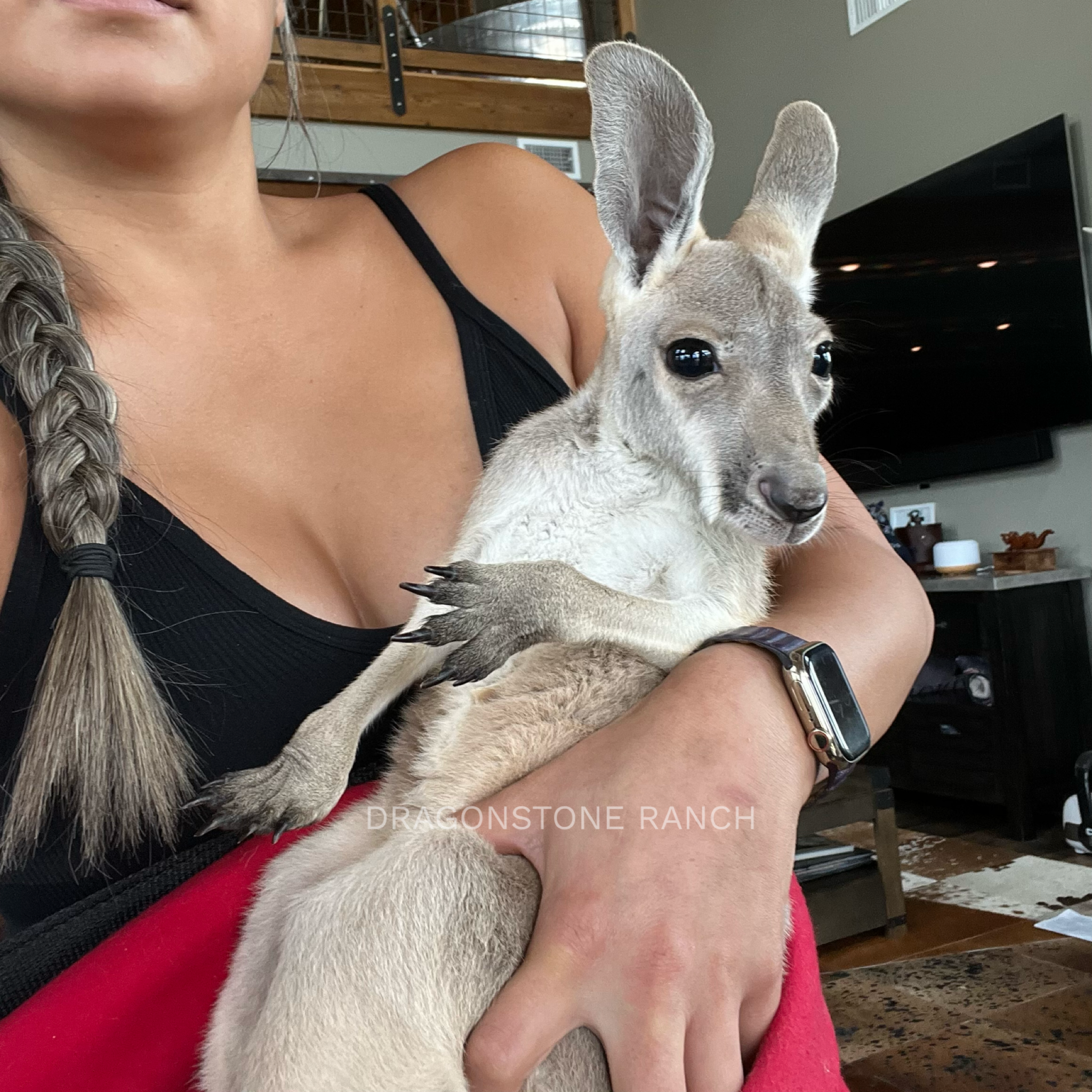 E7DF649F-2203-41A0-864F-BDA7B8DDCD1E