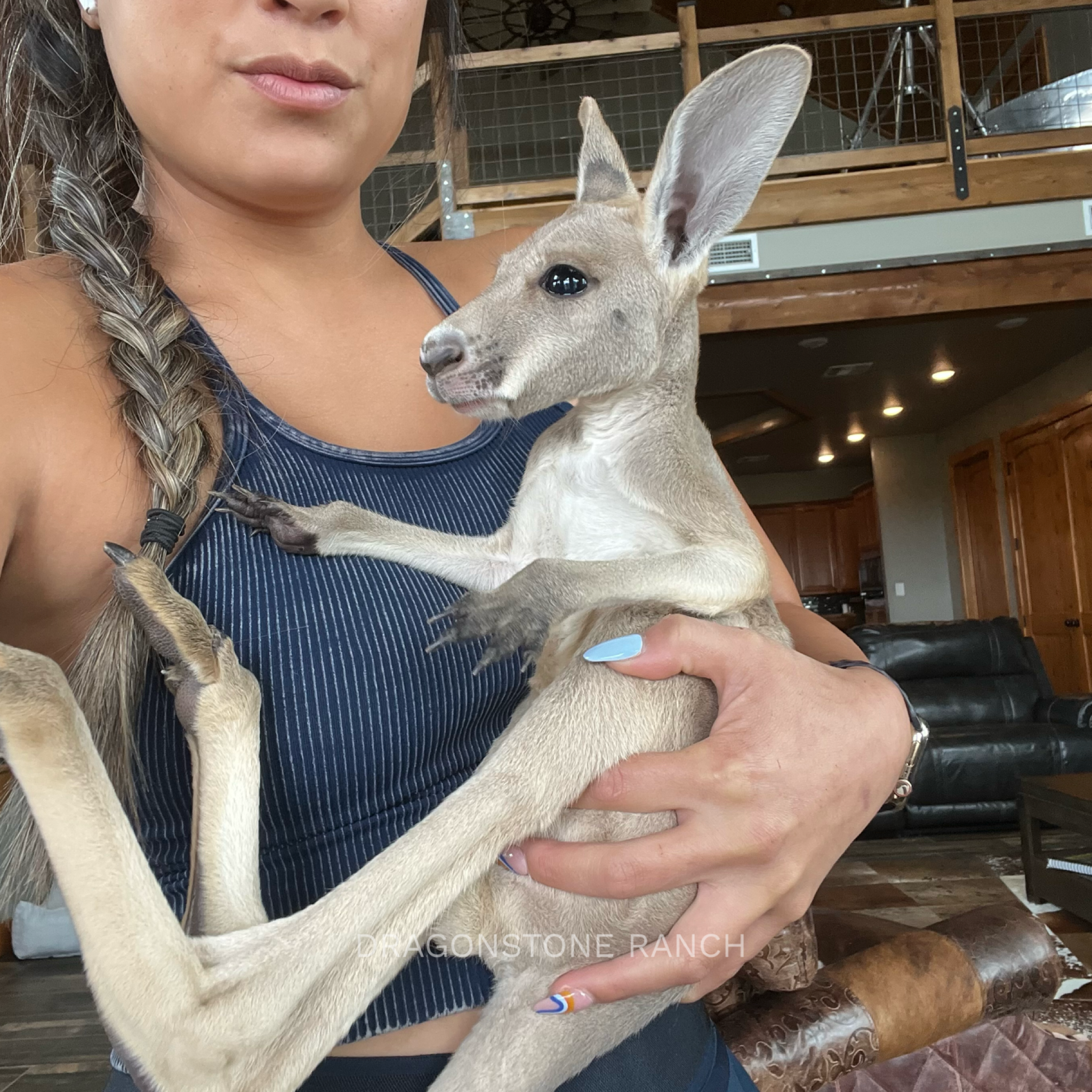 DAD3F475-F3FA-47A0-BF06-8D9F335826A7