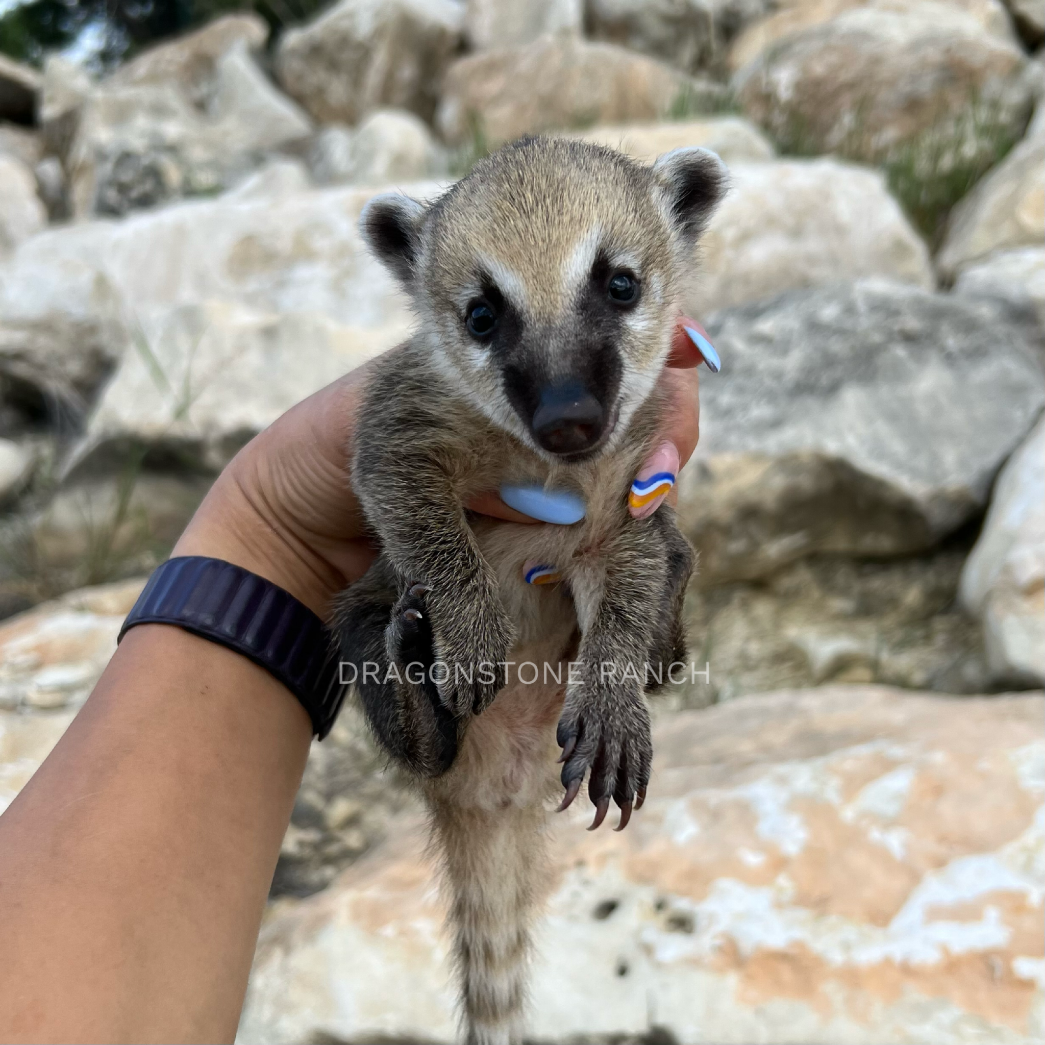 B26ADEC6-CC6C-4896-A083-C9EA9BC7303E