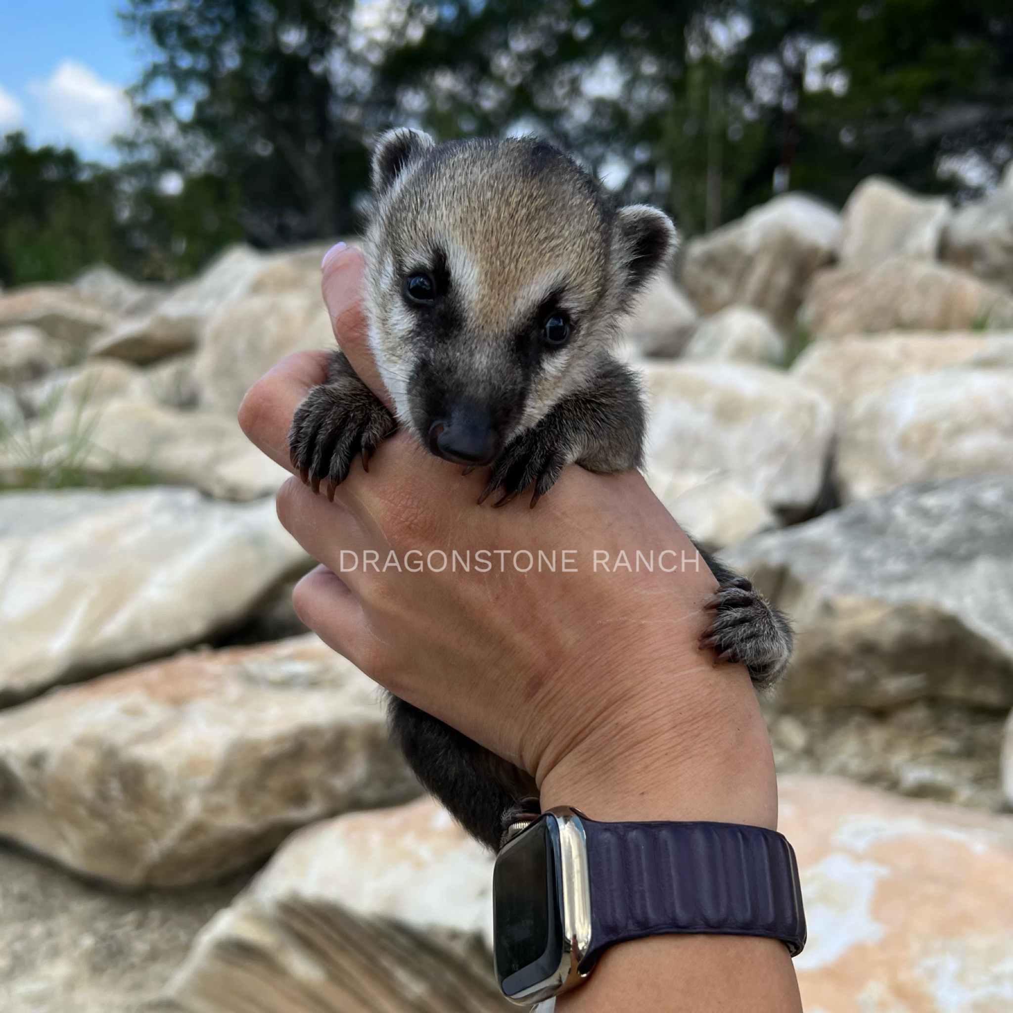 36EA413E-05E2-40E0-A72B-02A0B5D092A6