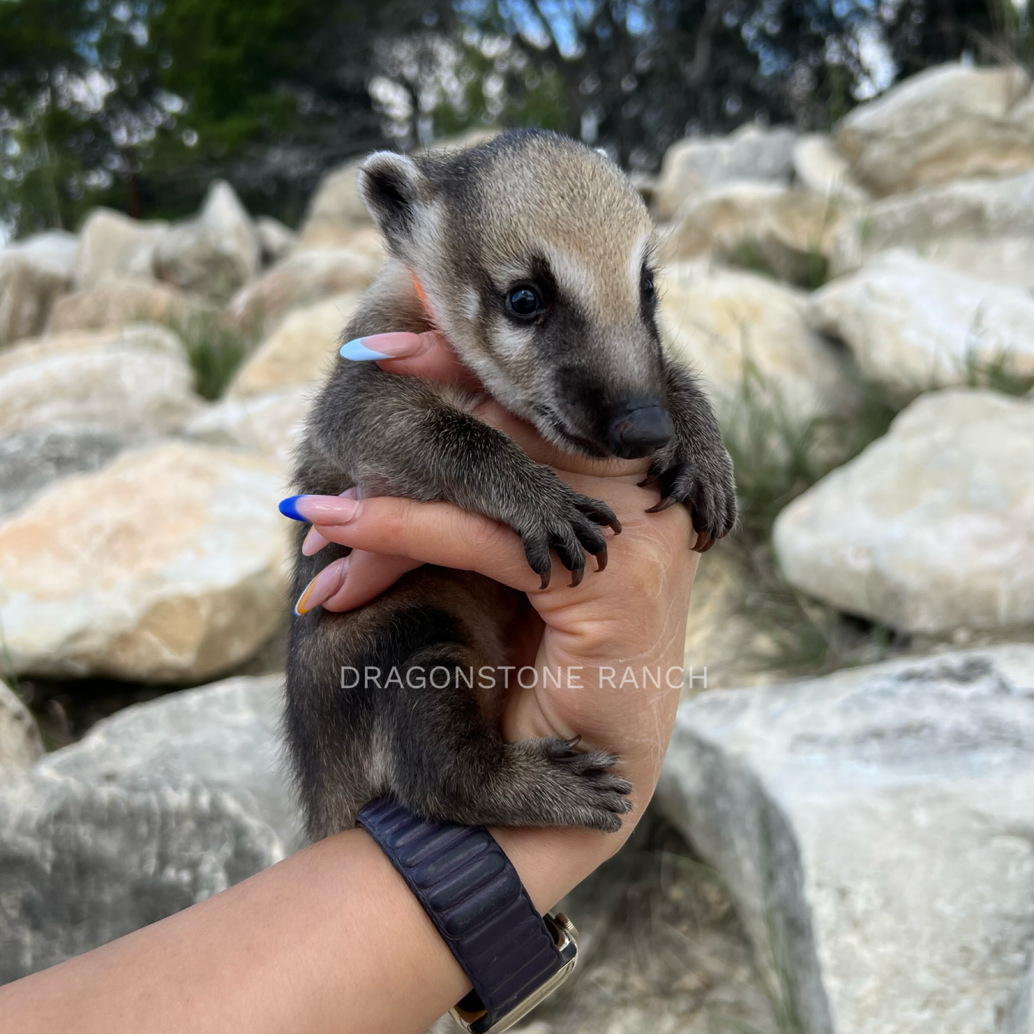 6FB0C1DF-0CFC-49A2-8078-BD57EE2B9628