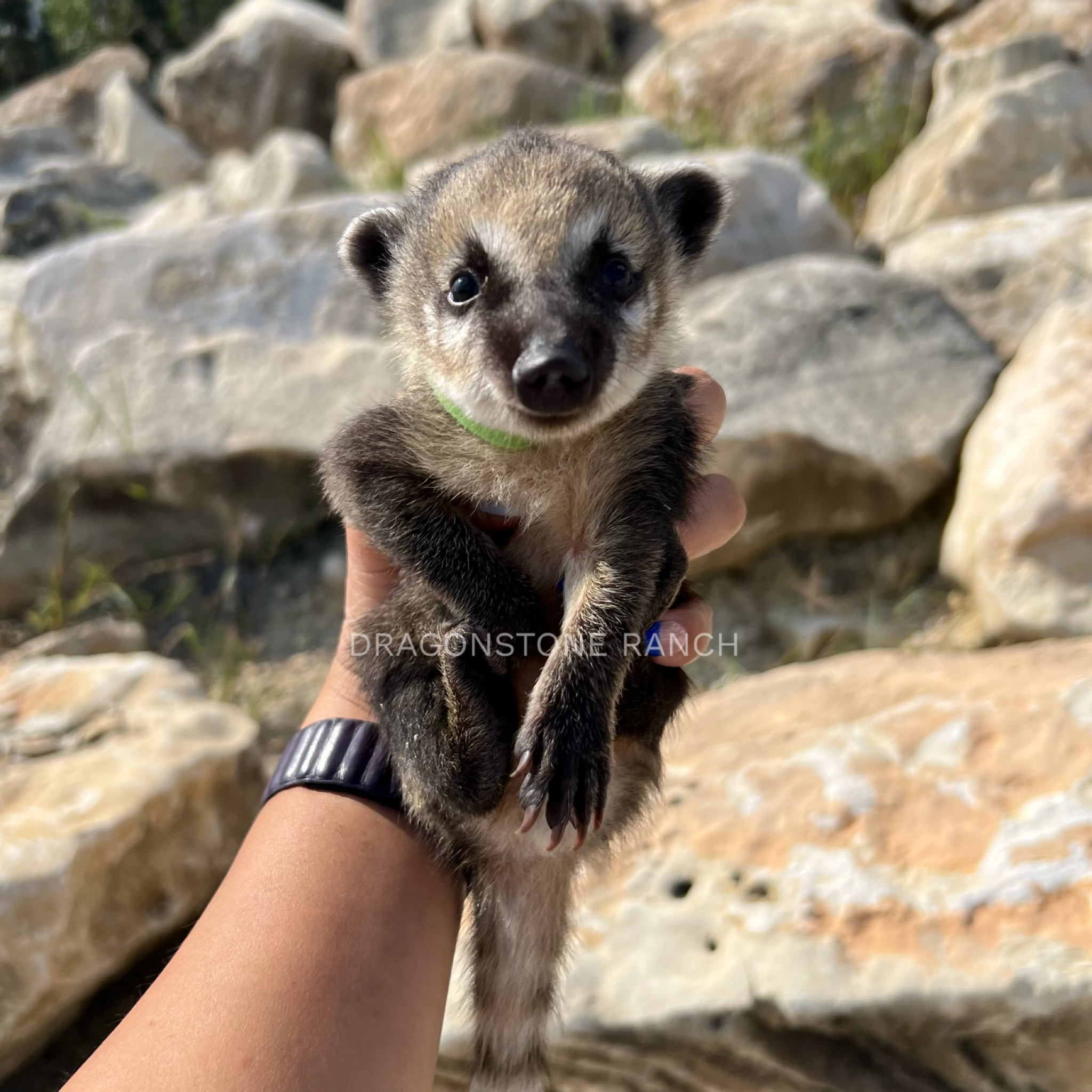 8C6E2429-4D80-4412-8508-DF66B81B97FB