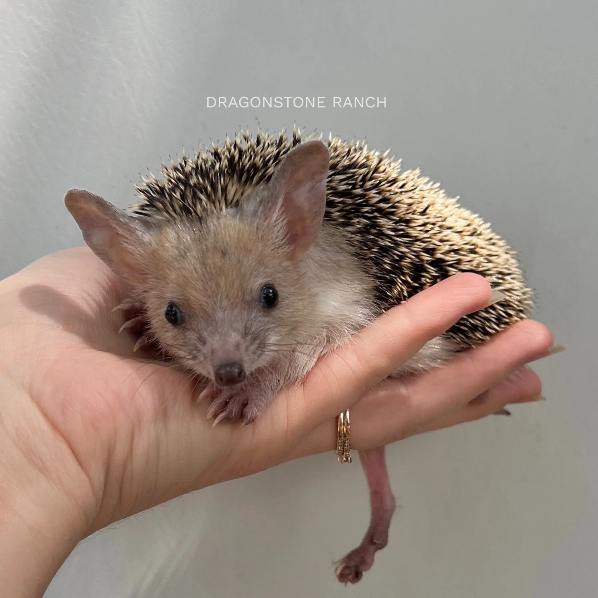 D8A16071-04BF-4391-9143-AE9EA3C0BA25