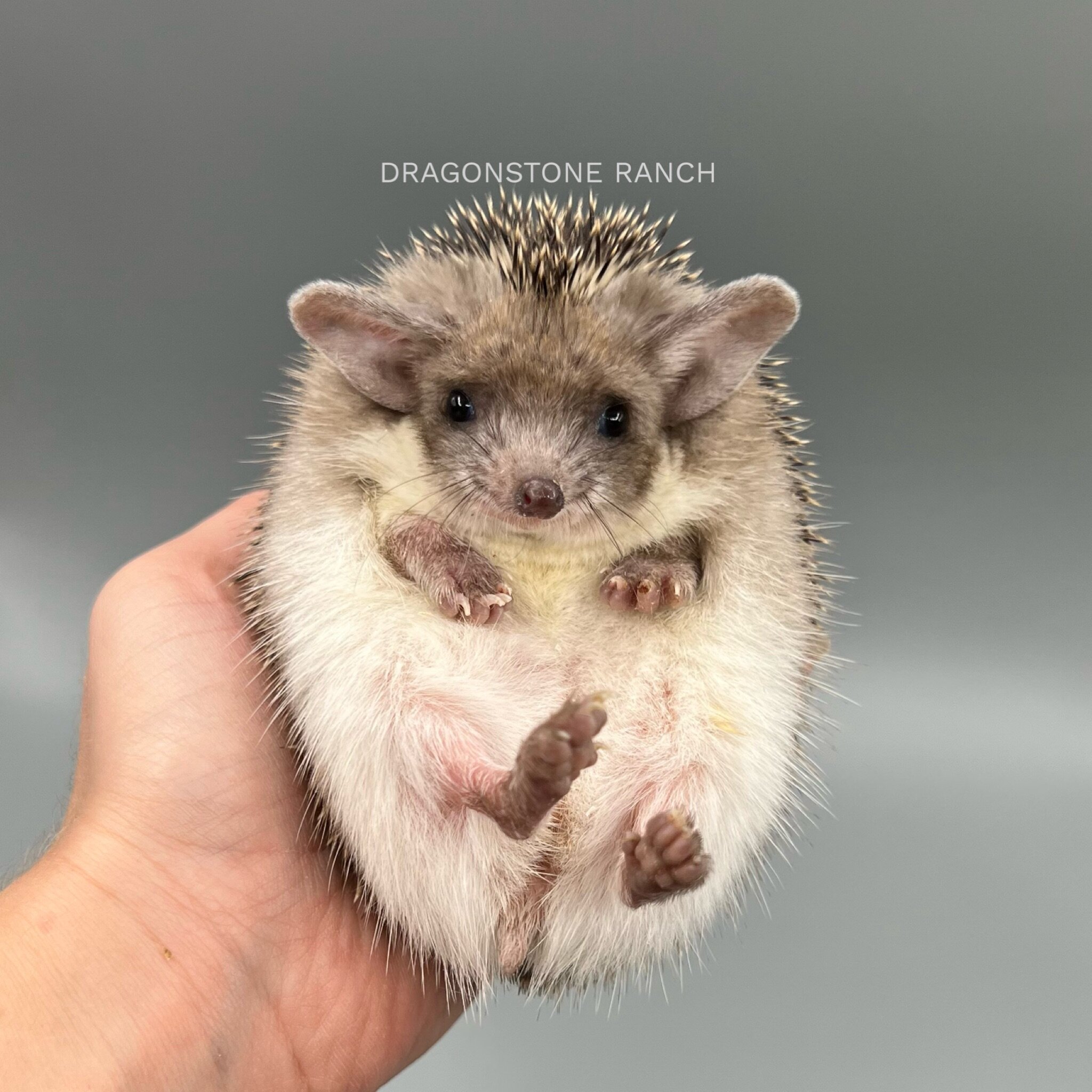 674C05D1-296C-4D1A-909C-BC5A69FD88F0